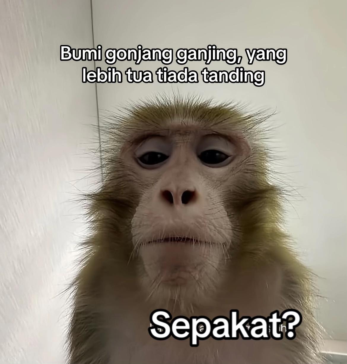 @EMJE