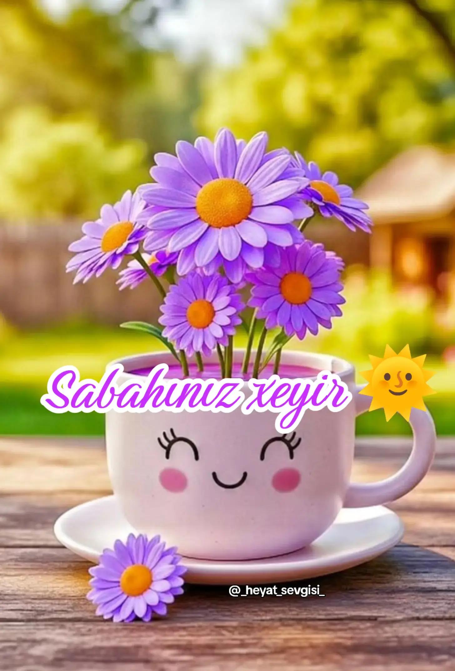 @💖✨