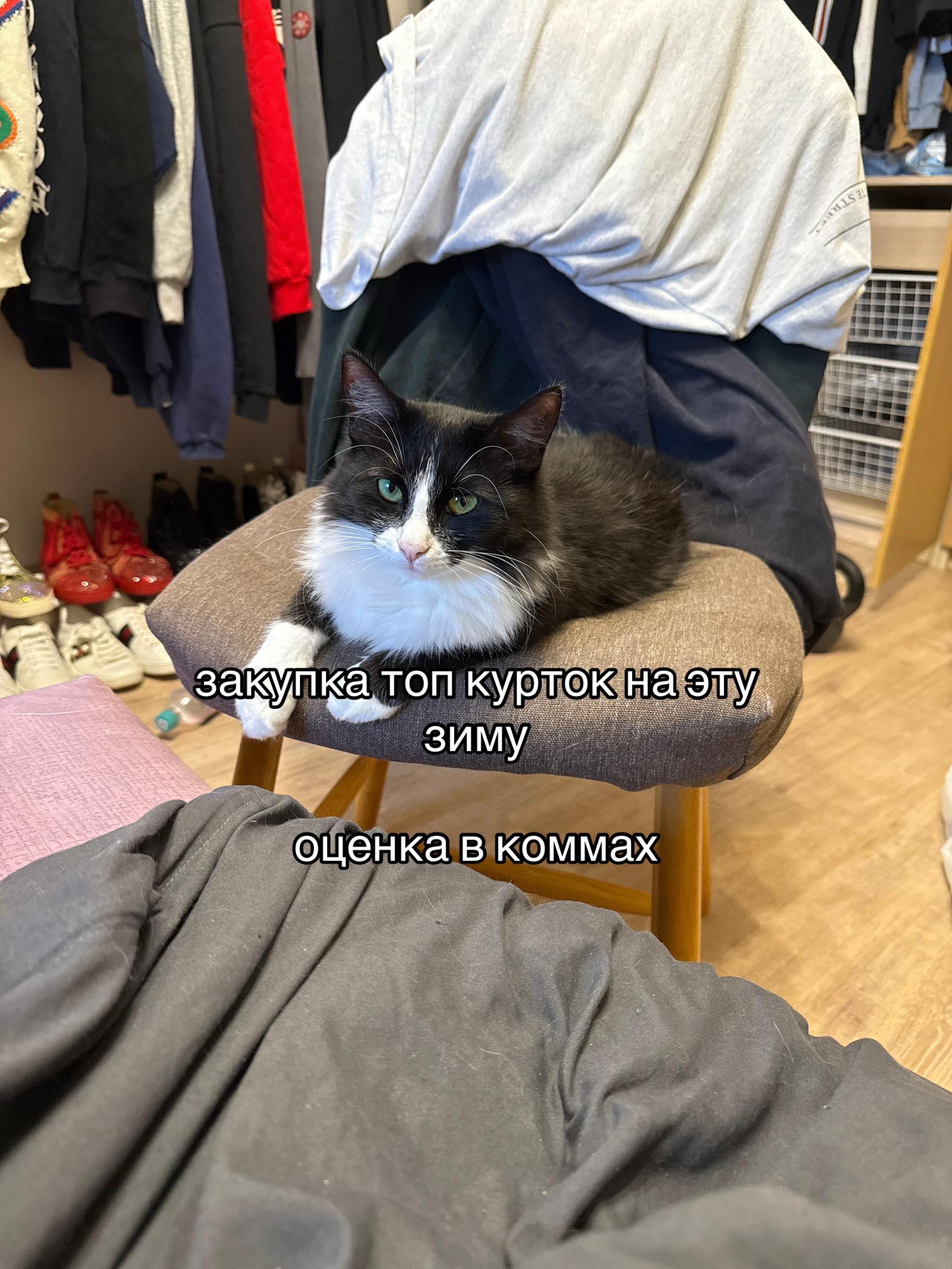 @Миша Бондарь