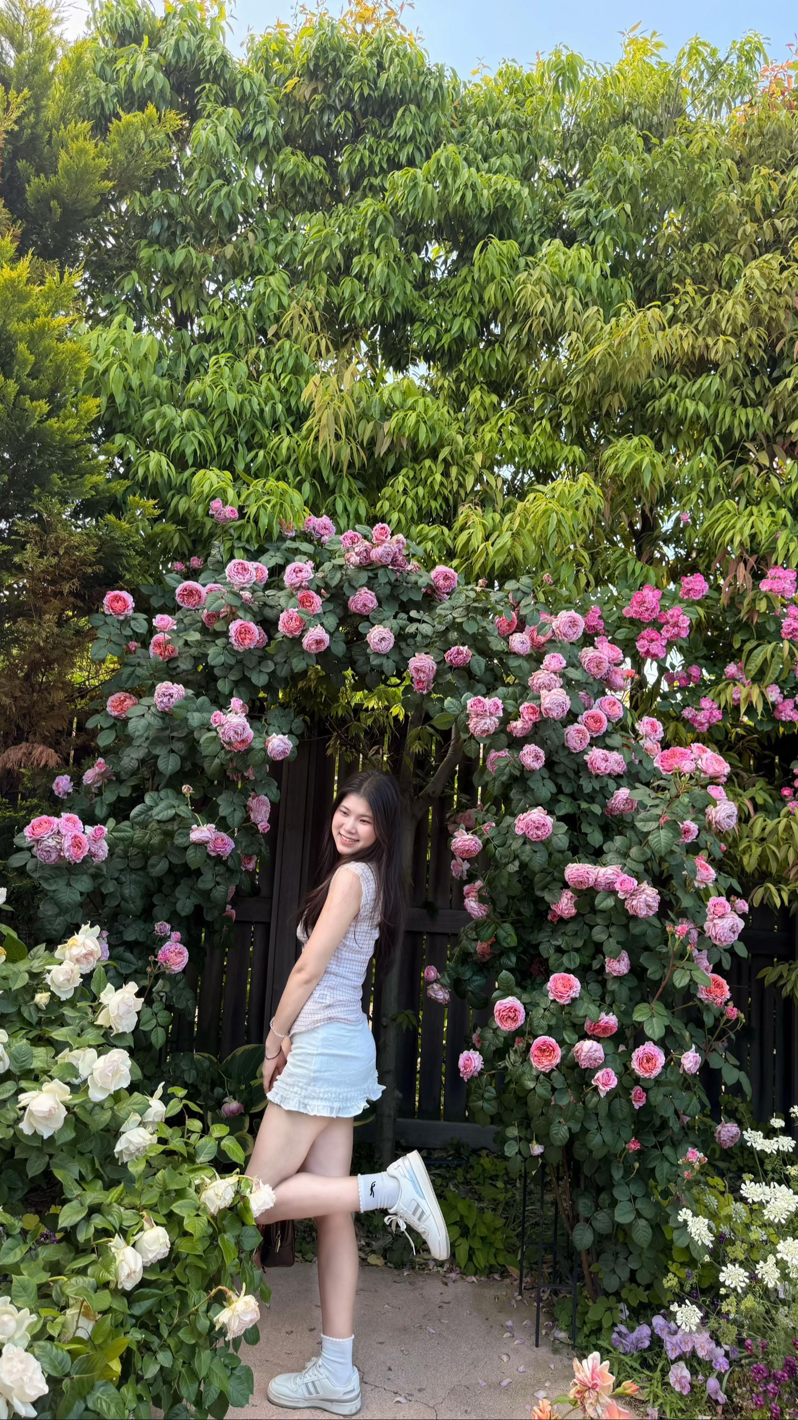 @Nang Hom Jyin🫧