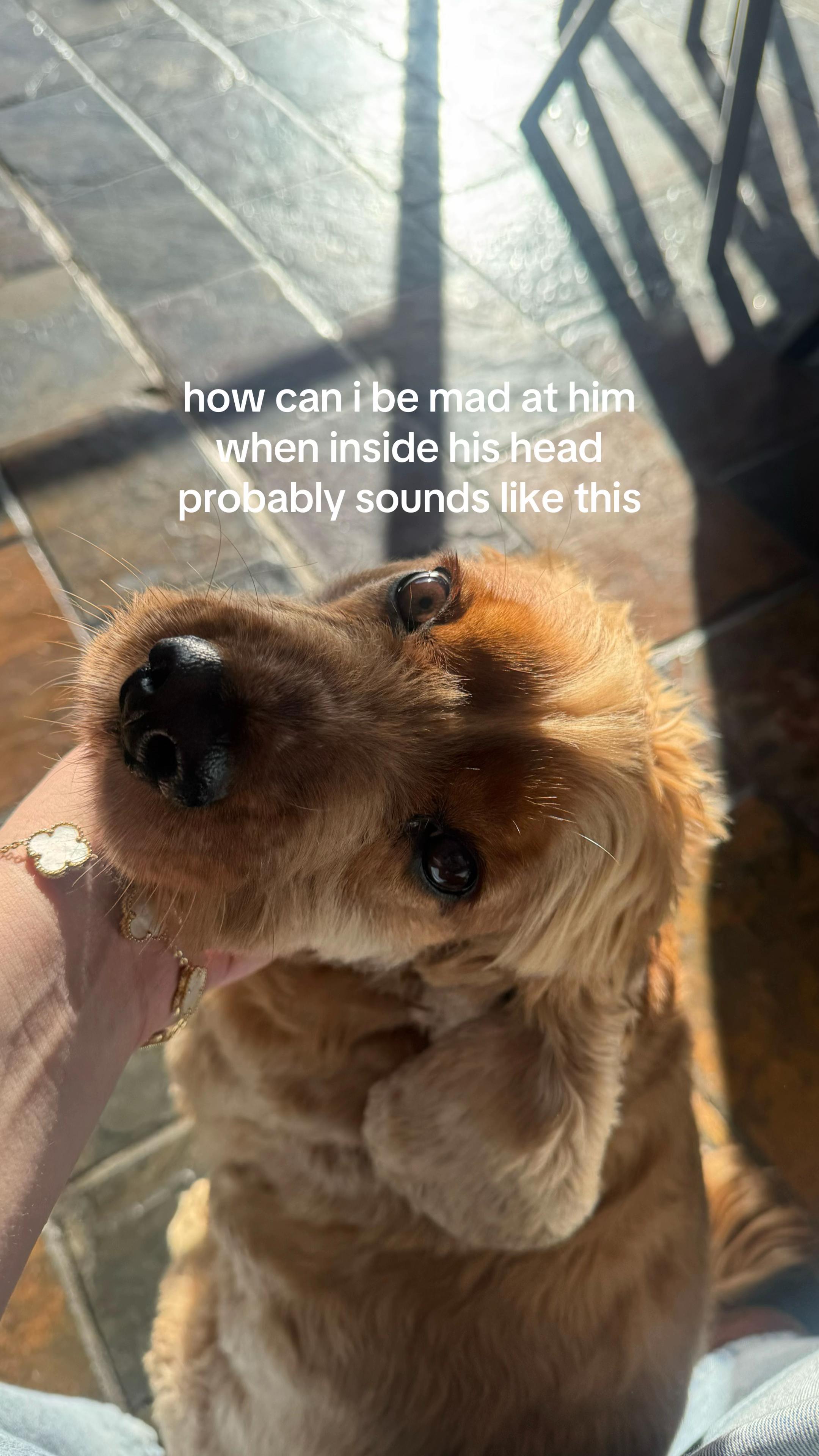 @kenz