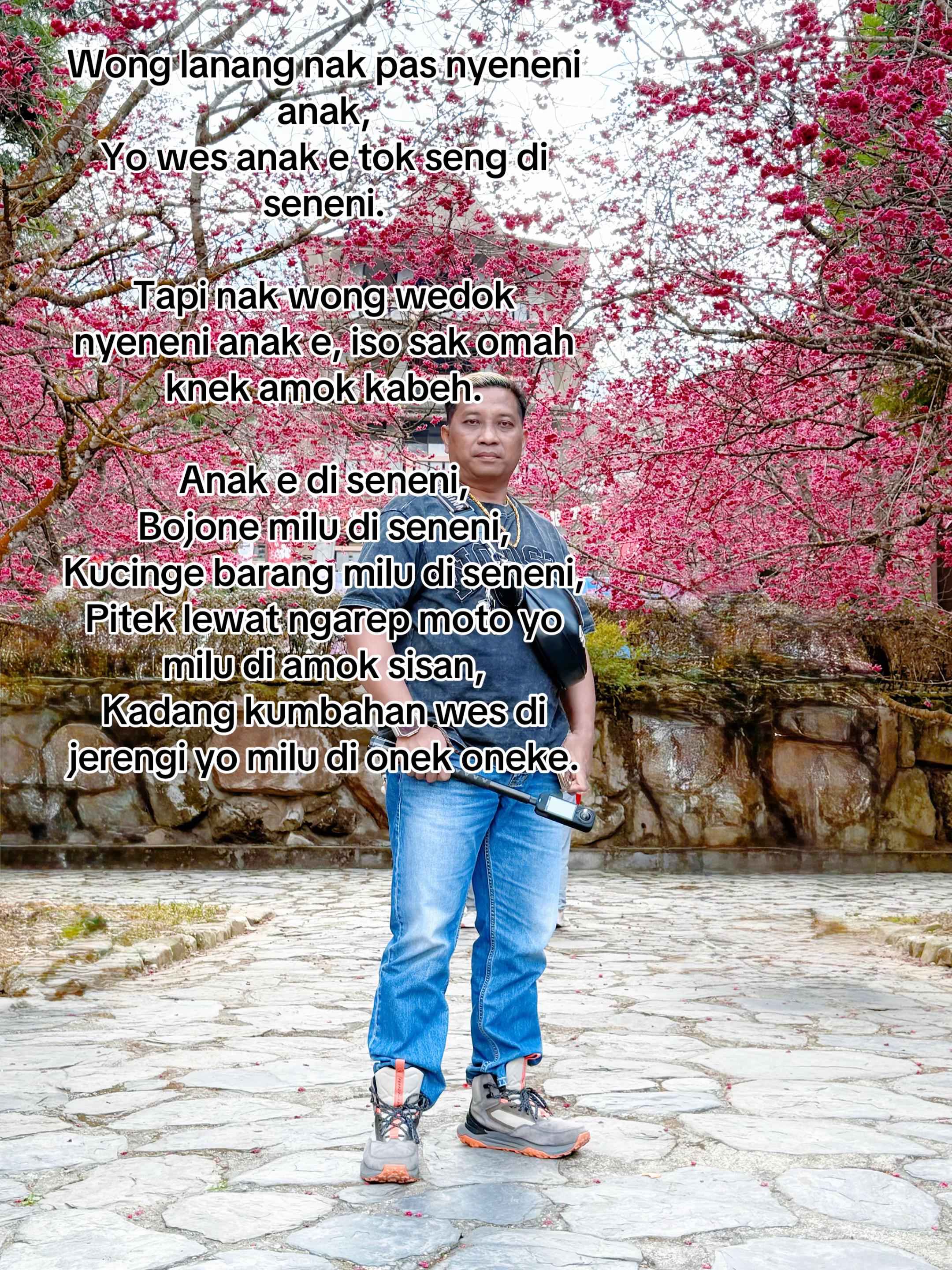 @Adi Photo Galery