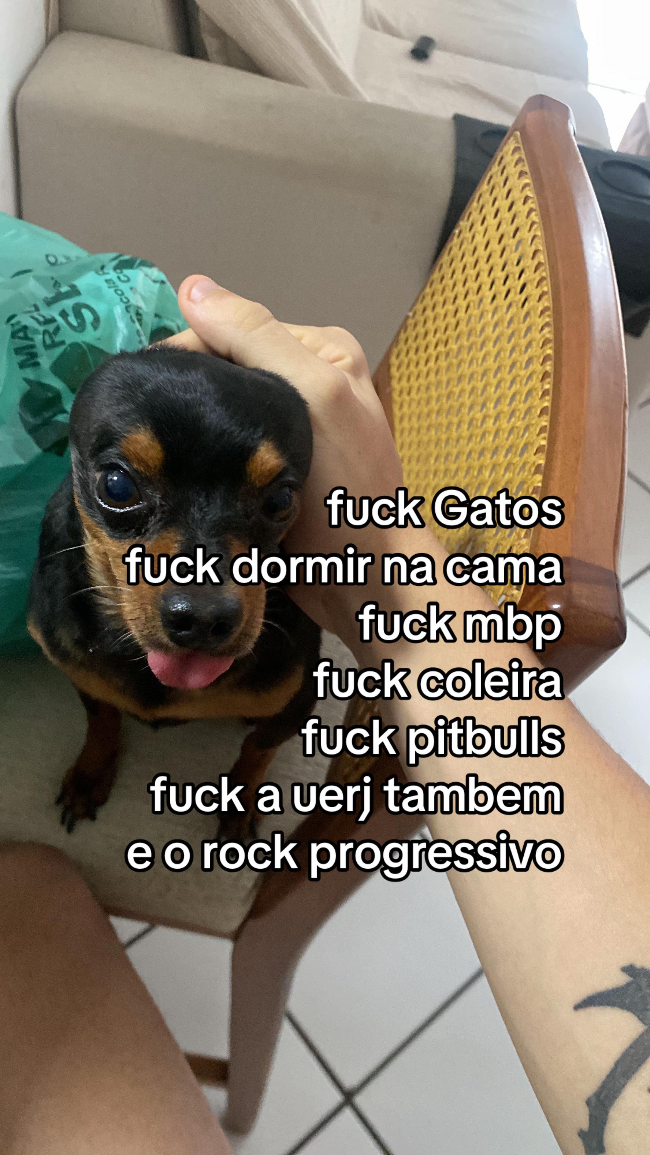 @chicoprogressivo