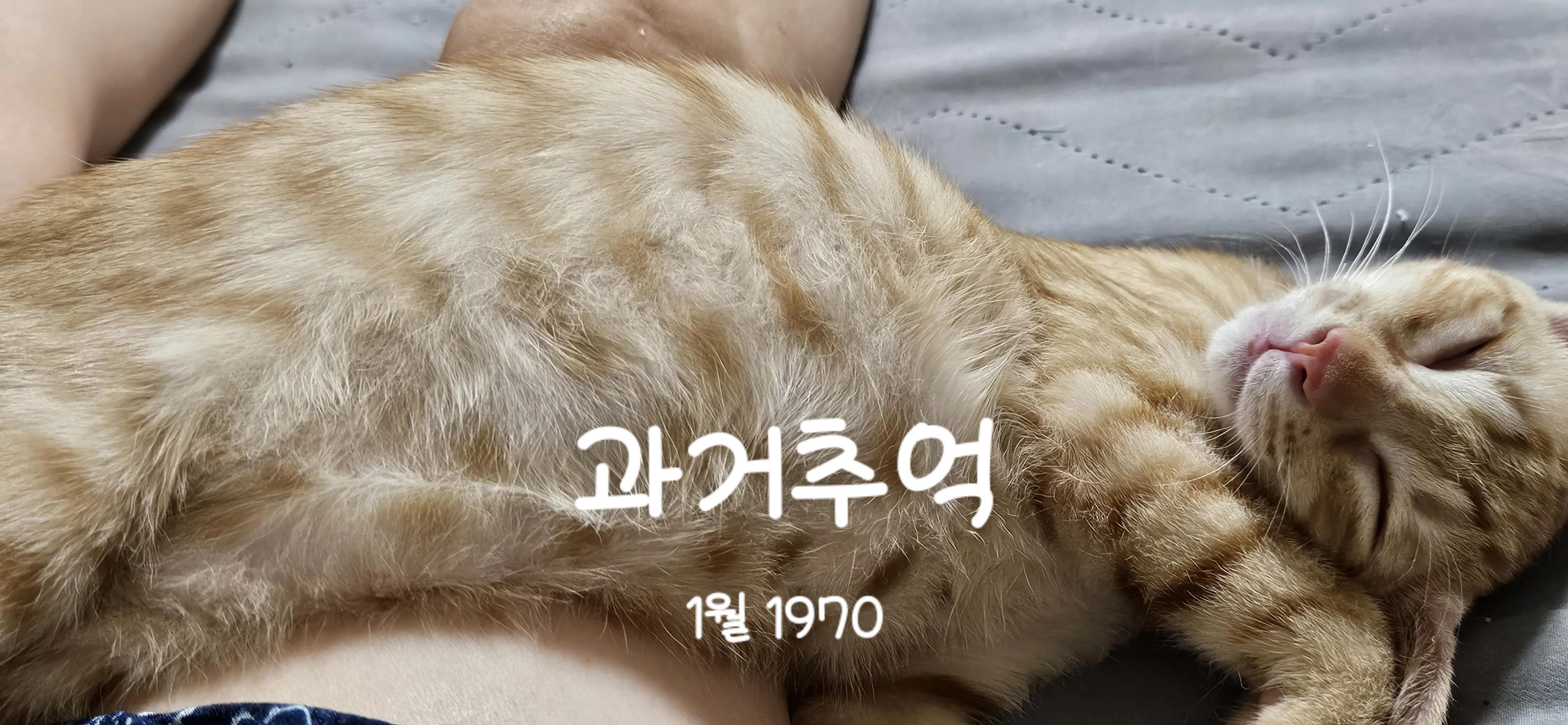 @๐ฉต๋ฅ๋ฅ์ดํ์ฐ์ค 14๋ฅ2๋ฉ๐