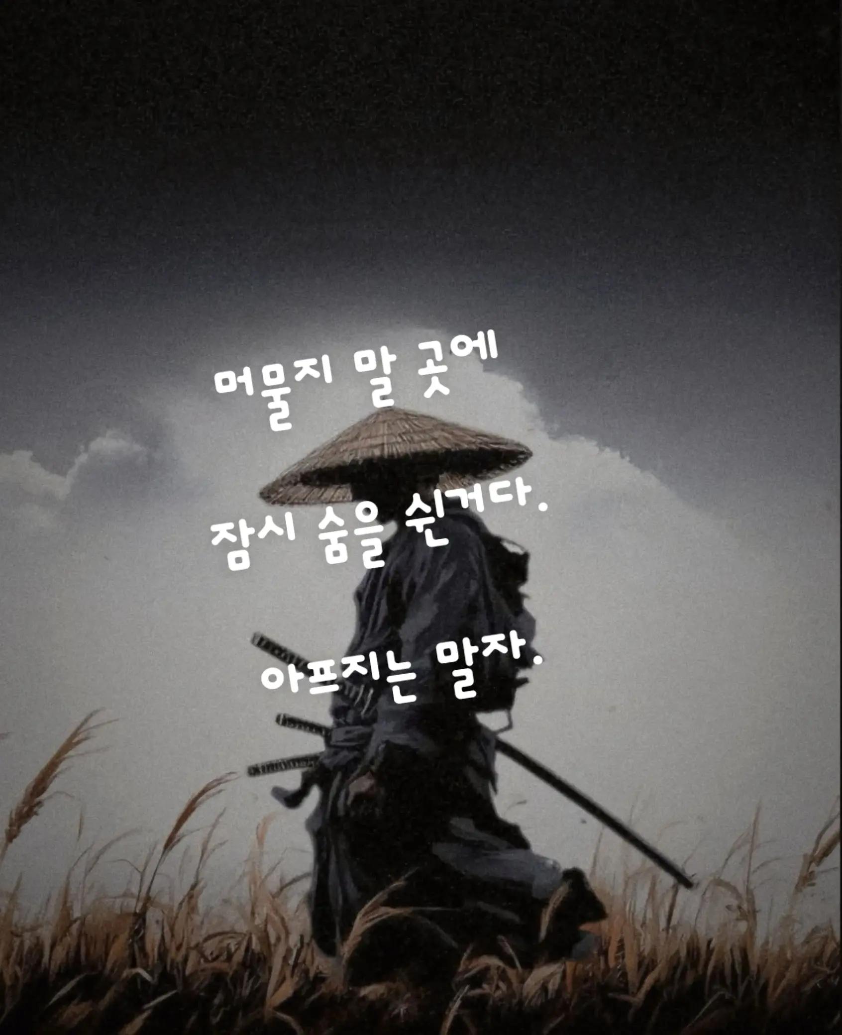 @@냥이글