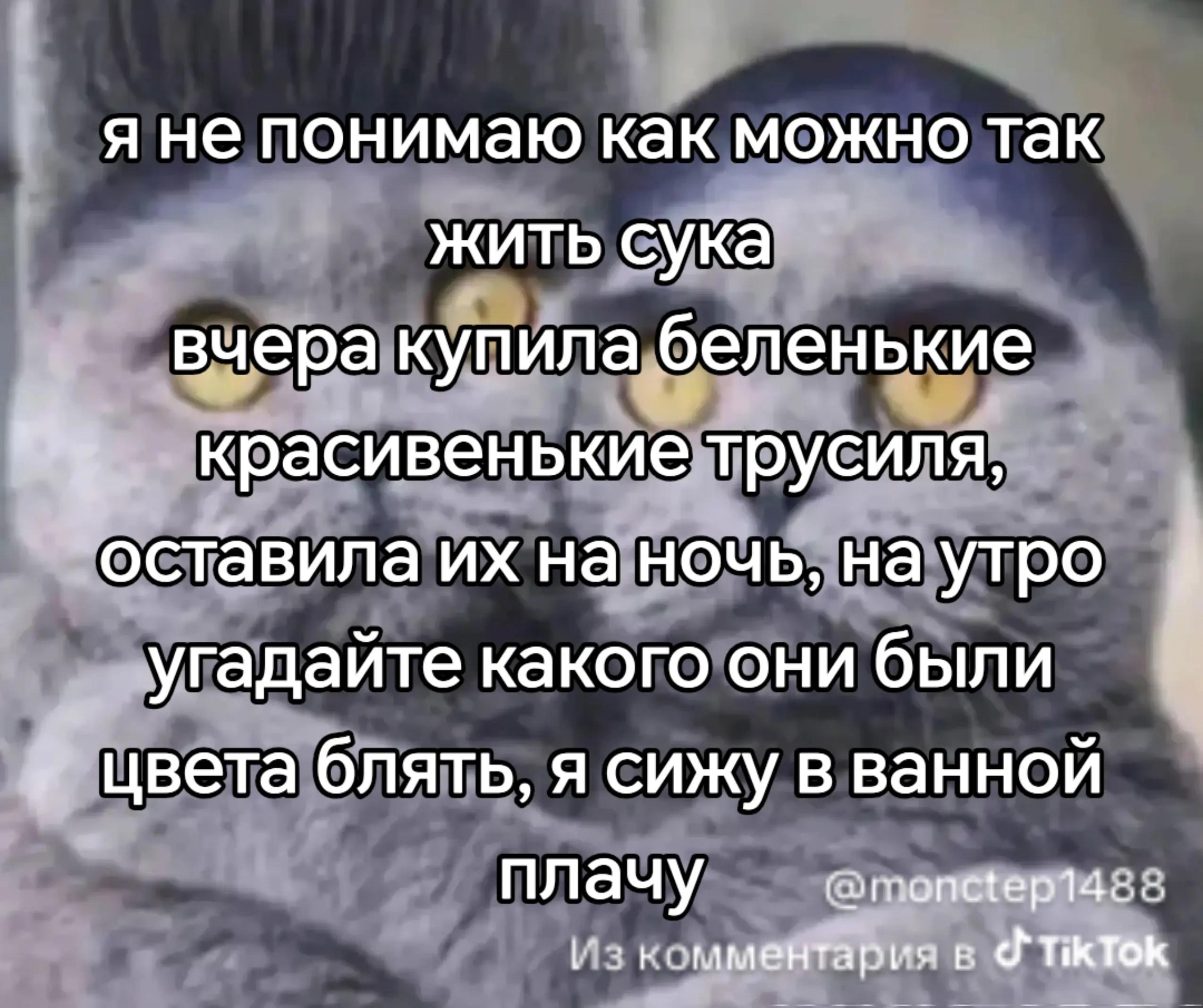 @𝙈𝙖𝙣𝙠𝙖𝙖𝙖 ᥱᥒtρ❀