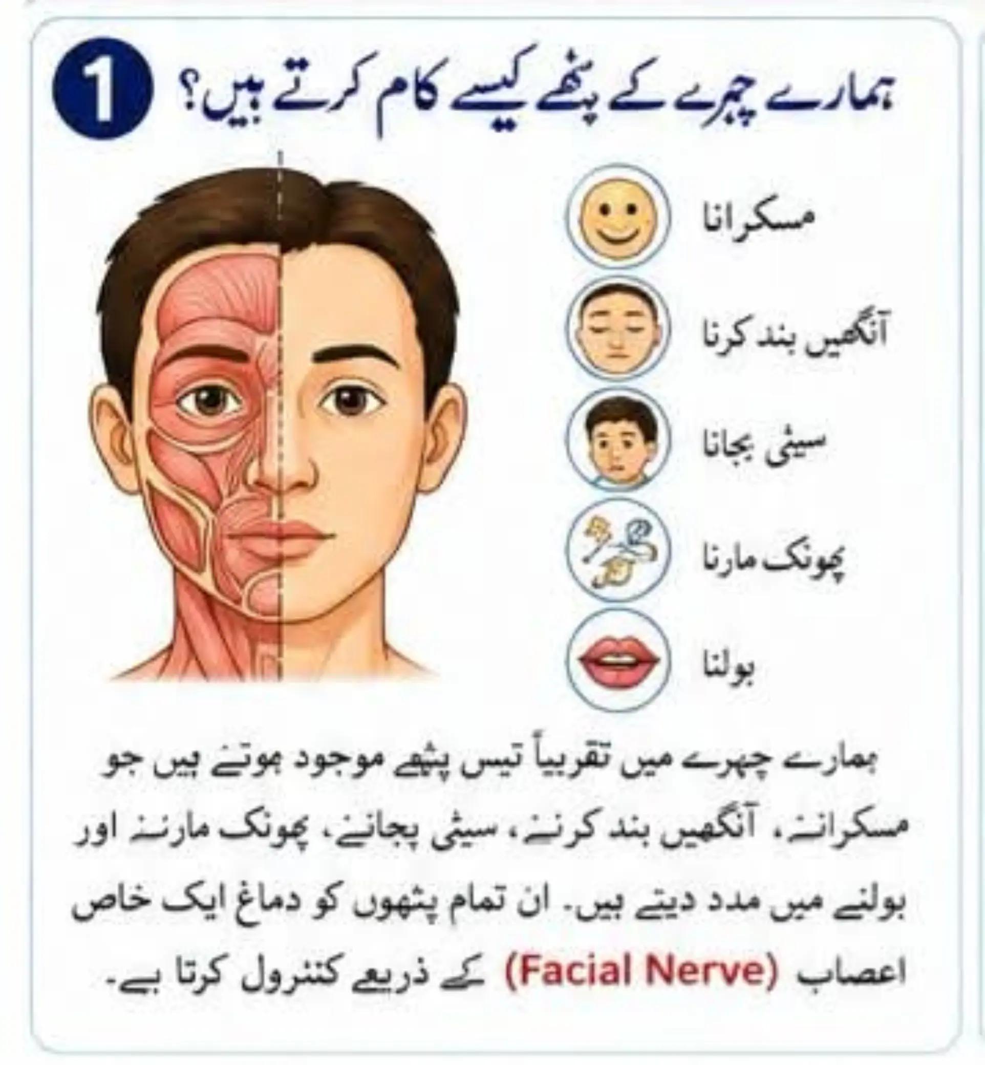 @Dr Arshad Child Neurologist