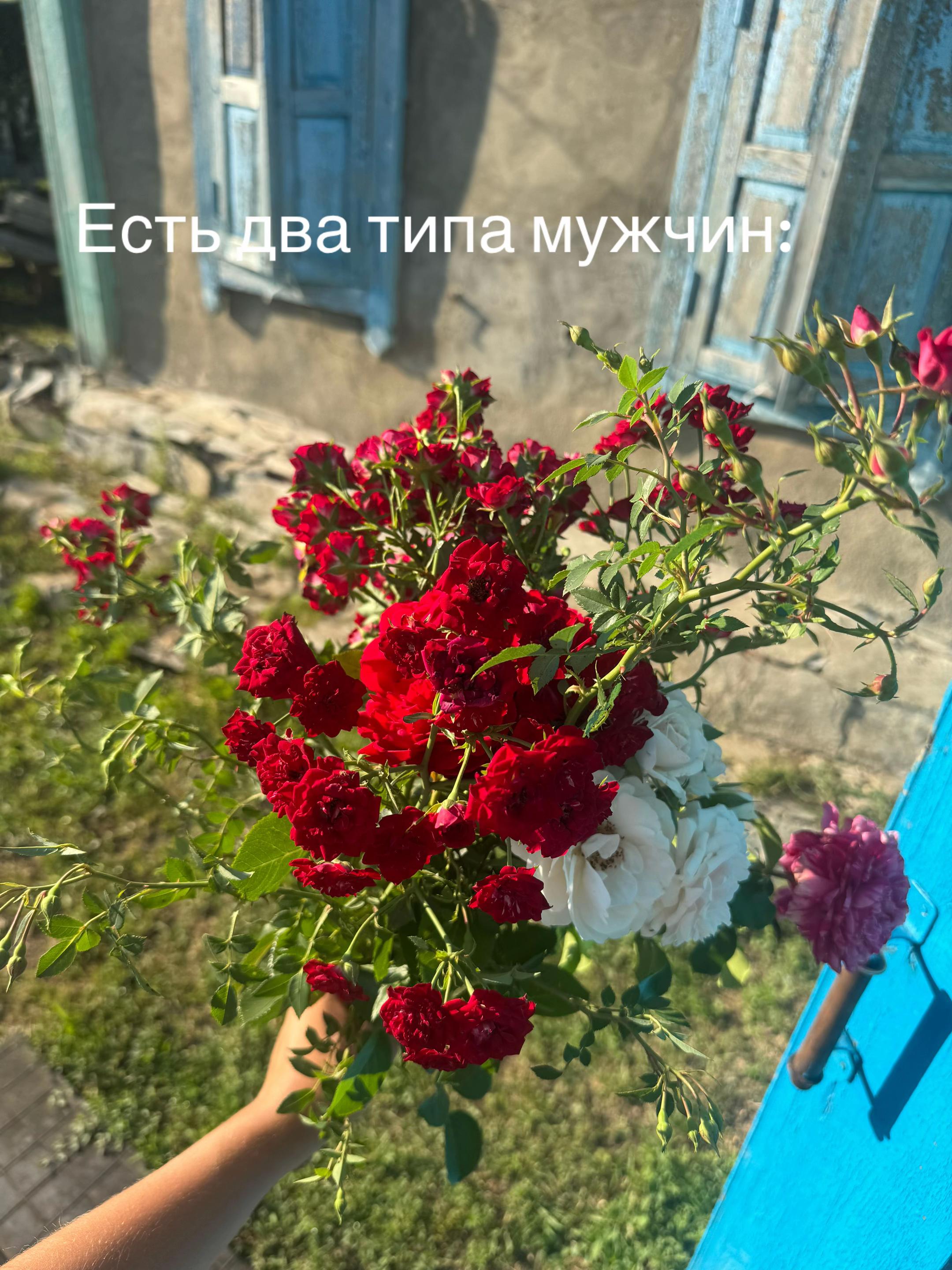 @Катиридз❤️
