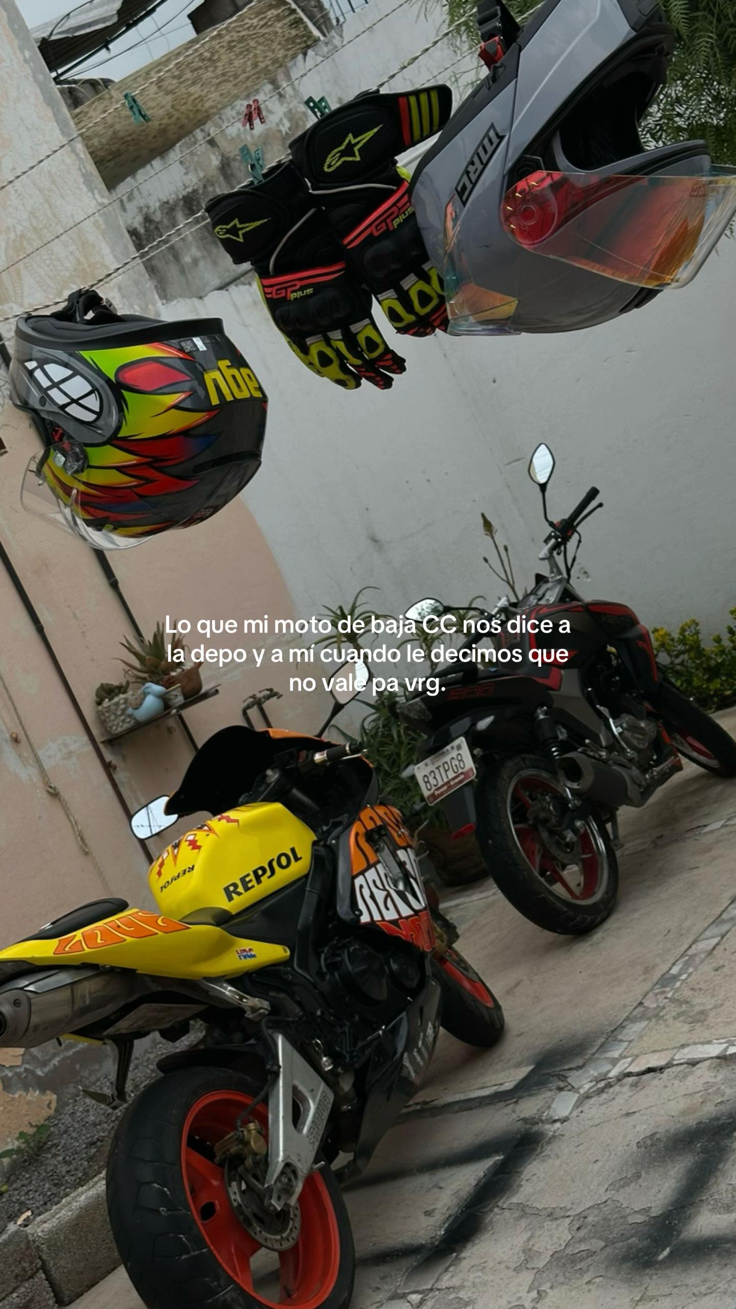 @bash_biker