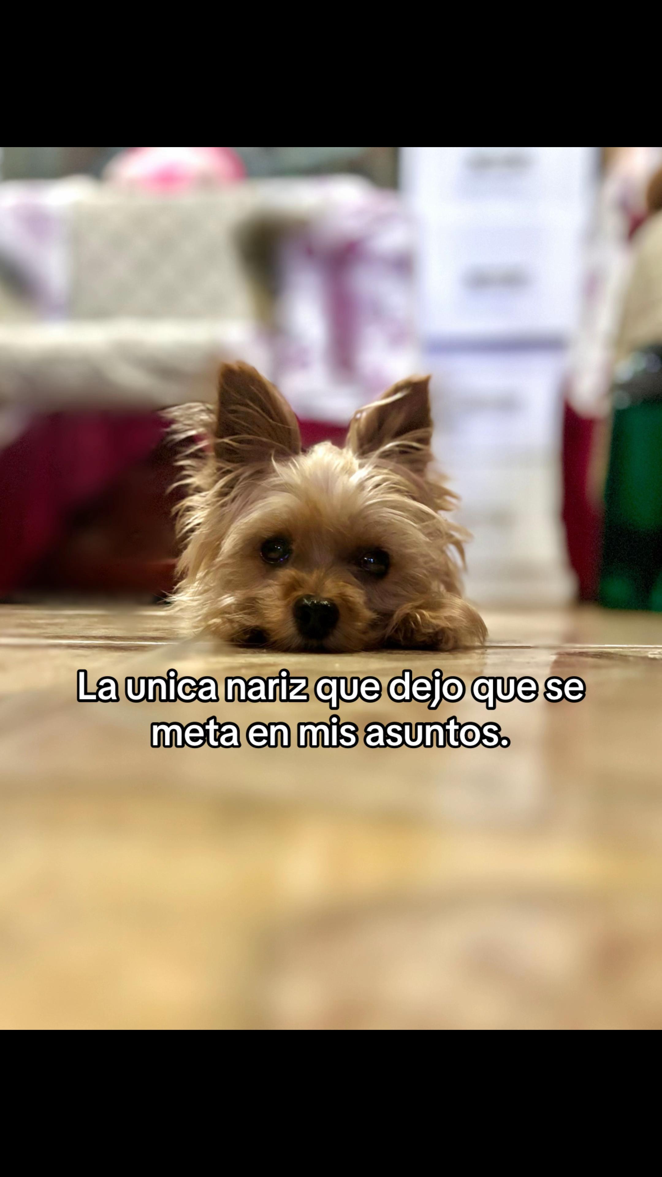 @Eli Barlo
