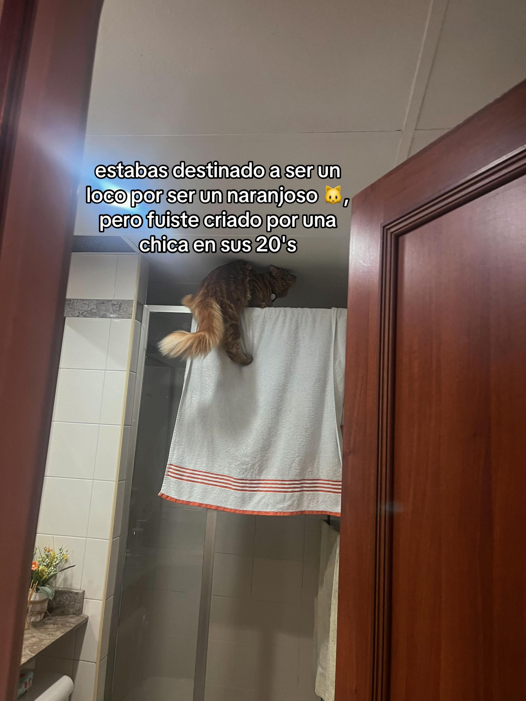 @๐๐ช๐ท๐ท๐ช