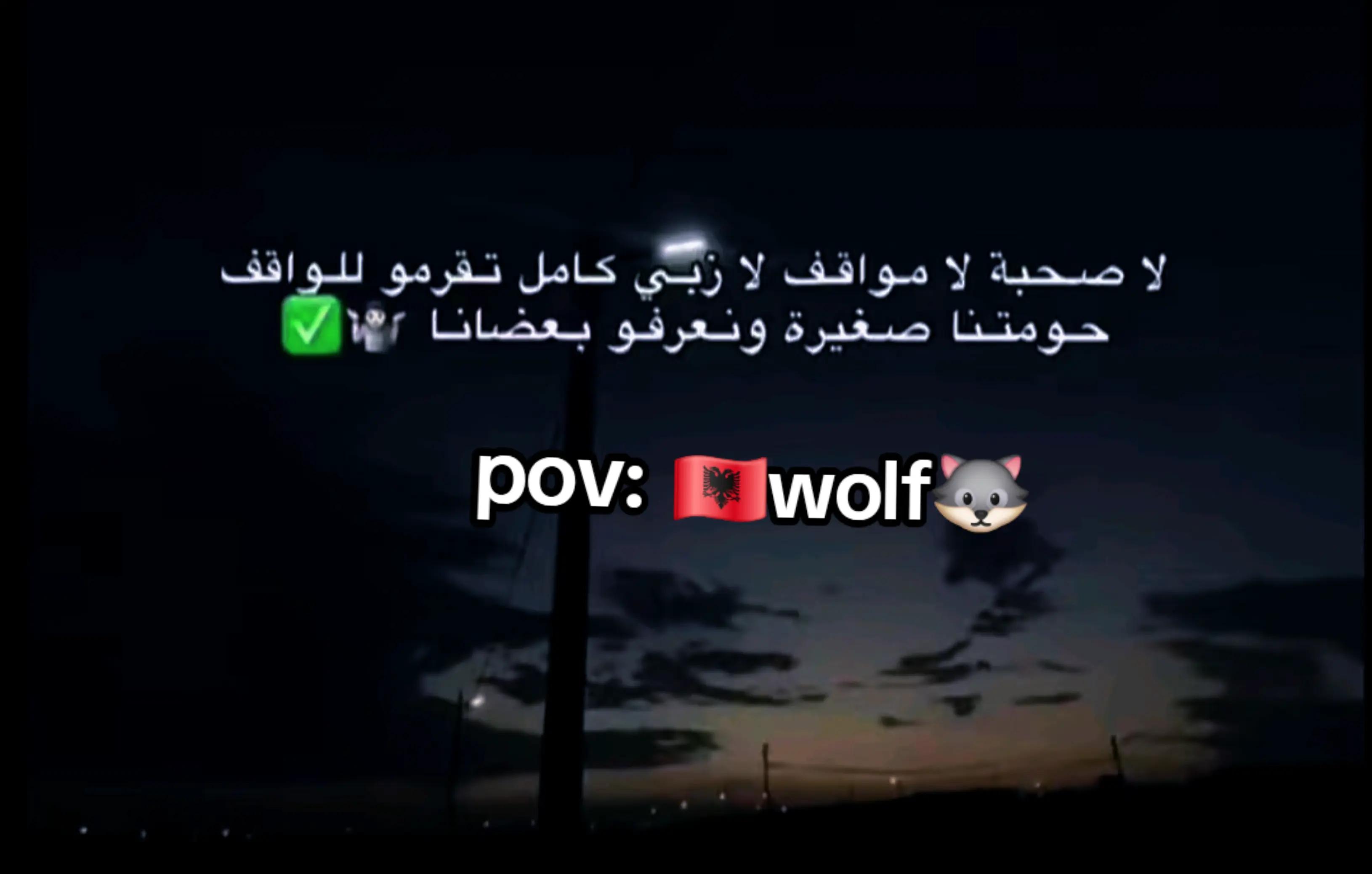 @🐺Wolf🇦🇱
