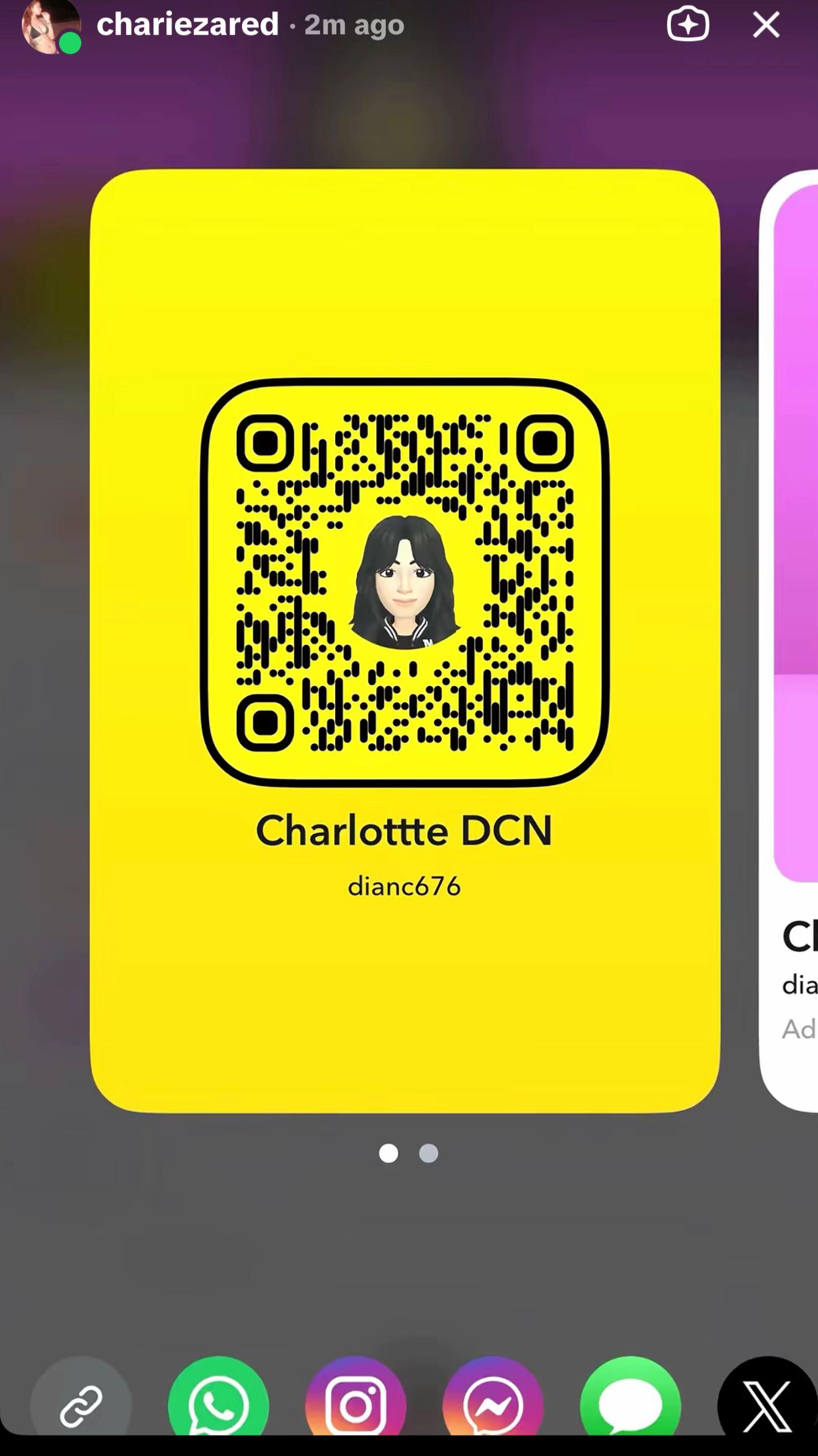 @chariezard19