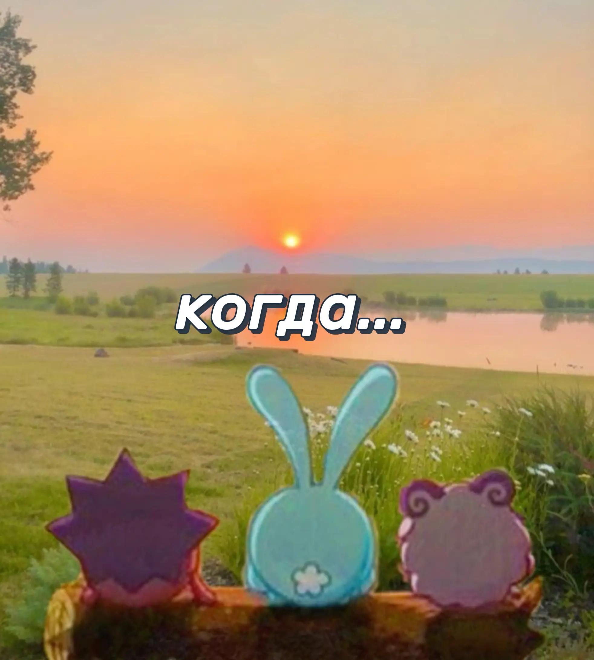 @(✿ ◕‿◕)𝕮𝖔ня