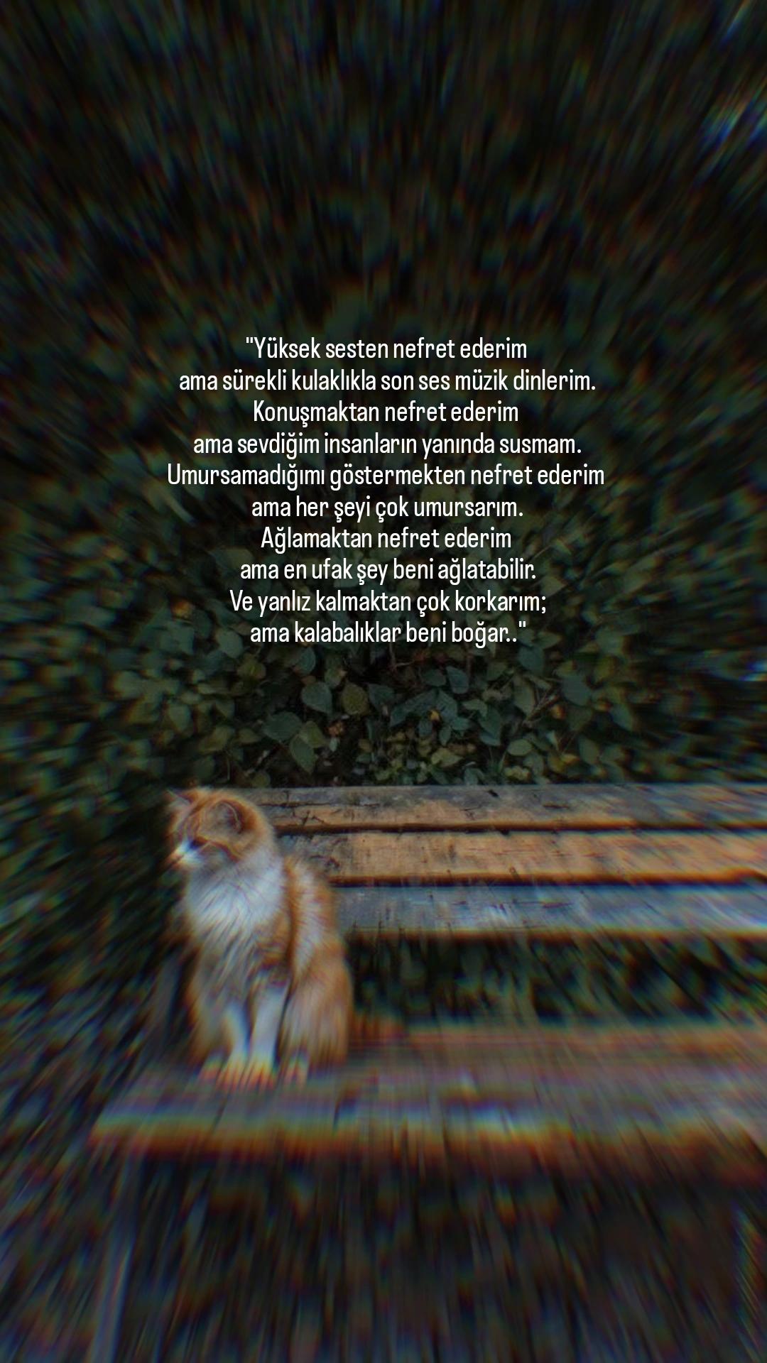 @1siyahsokak
