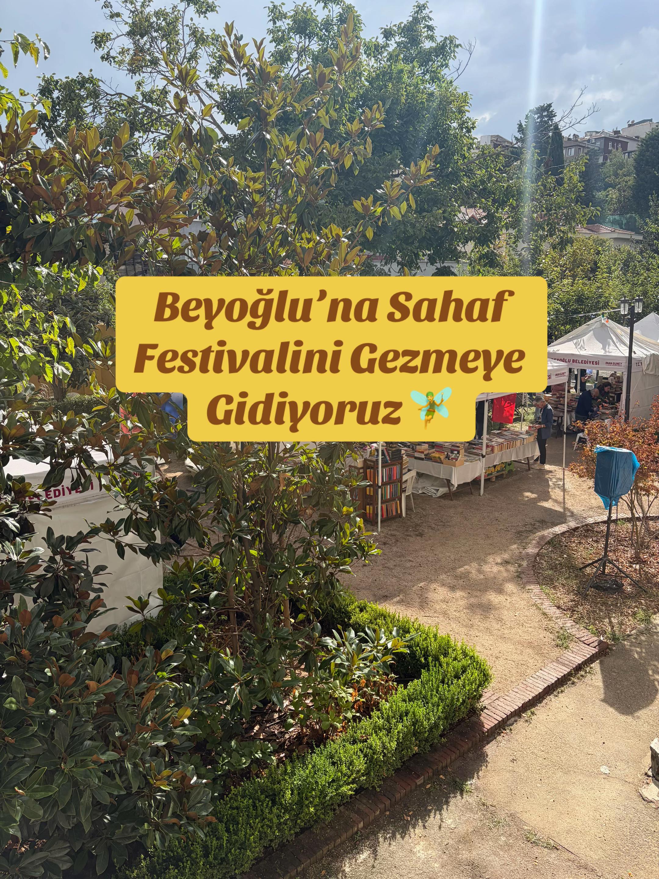 @İstanbul Kedisi