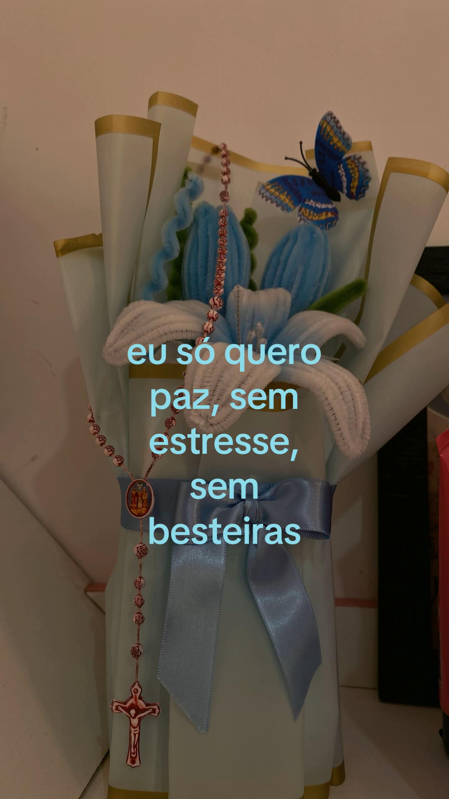 @hevilao 🪷