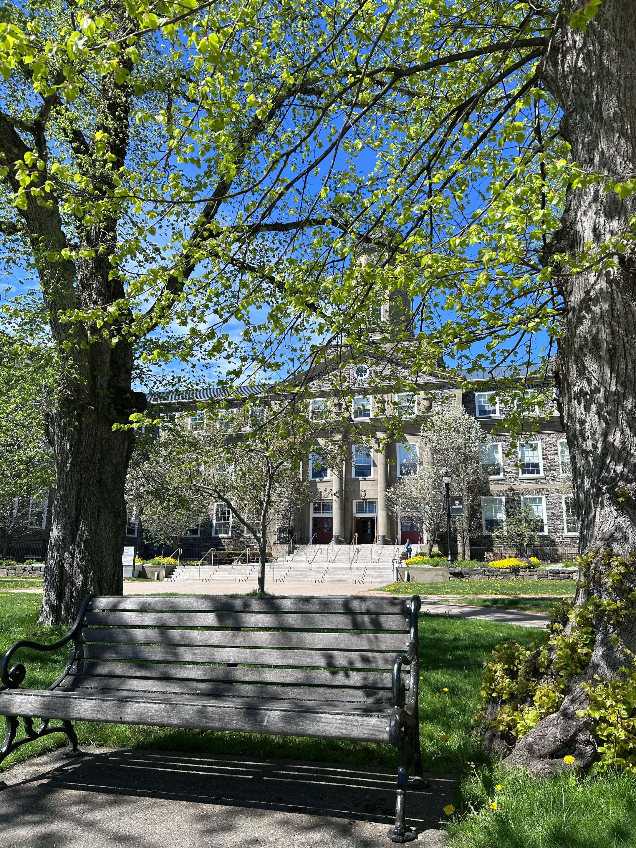 @Dalhousie University