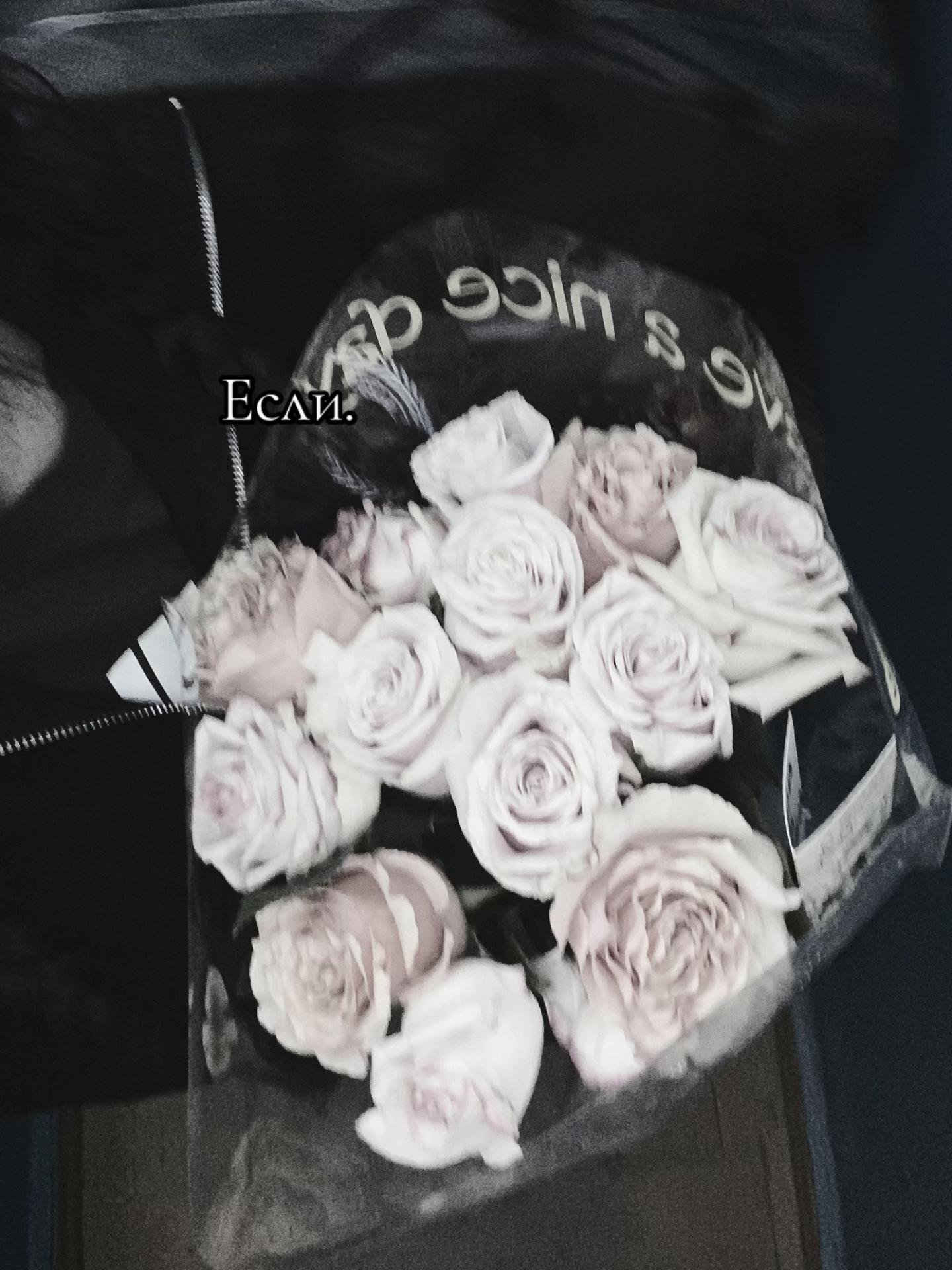 @안젤리나🙂&zwj;&harr;️