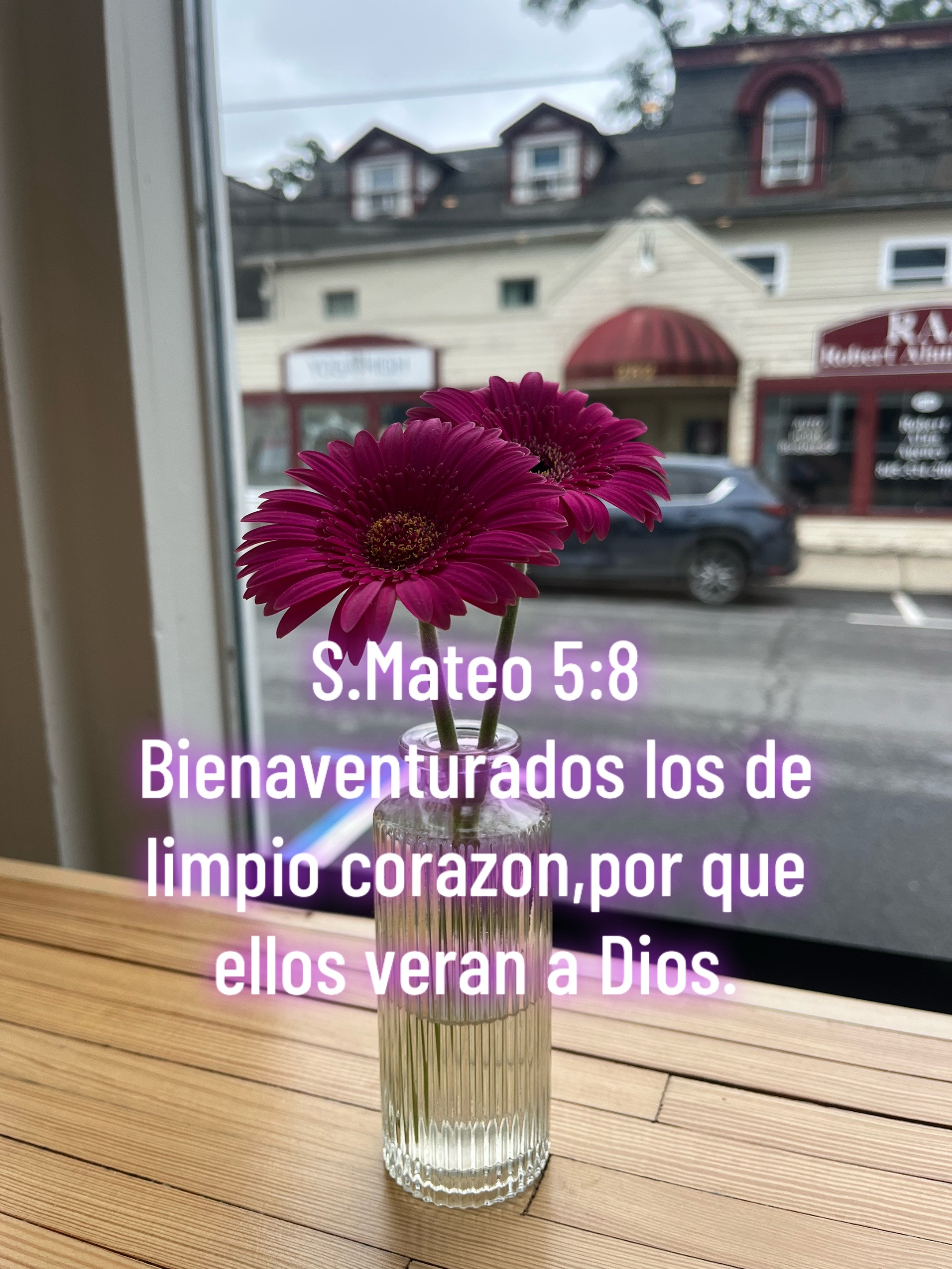 @Gisela