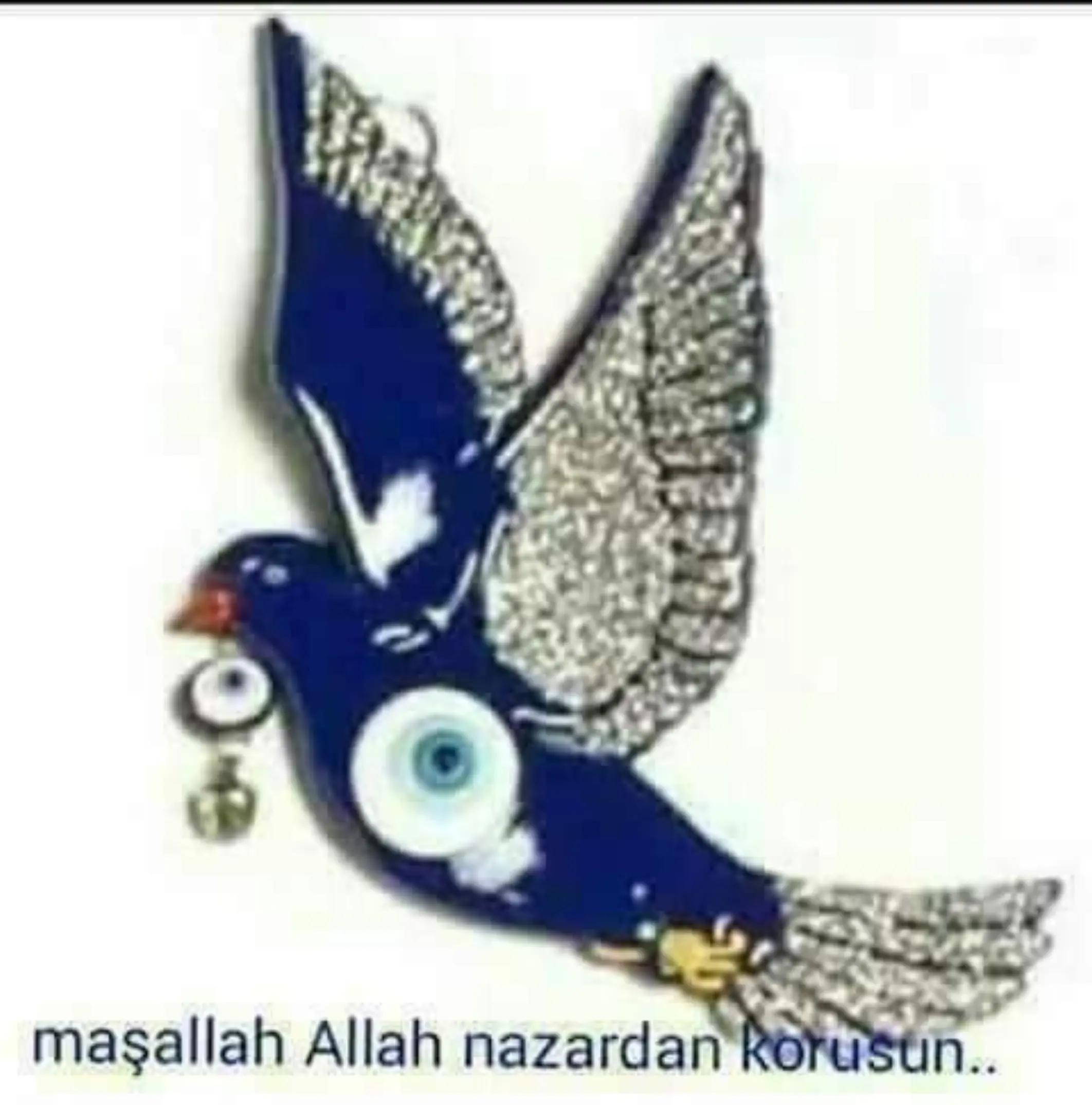 @MURAT ADIGÜZEL