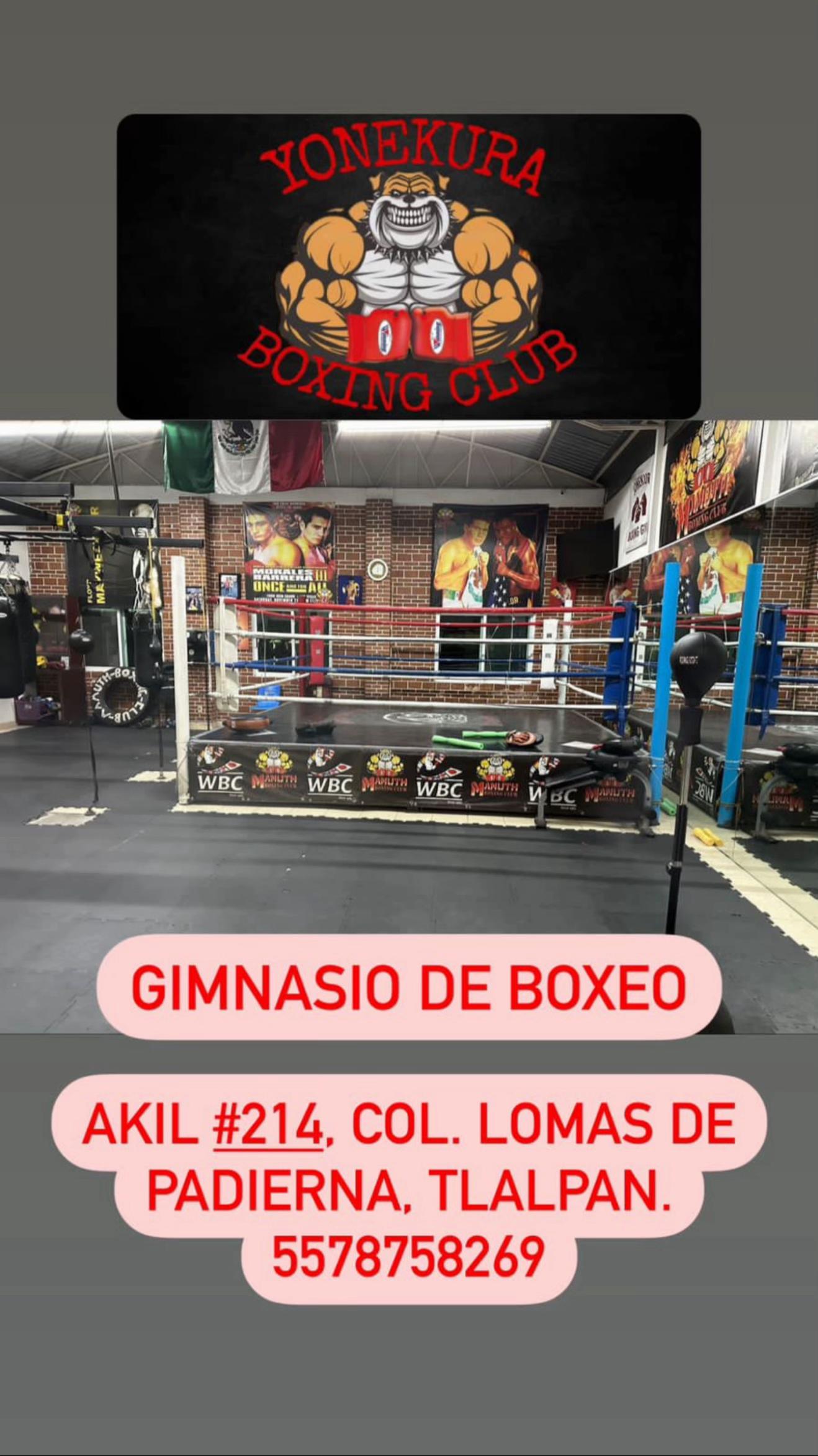 @Yonekura Boxing Club