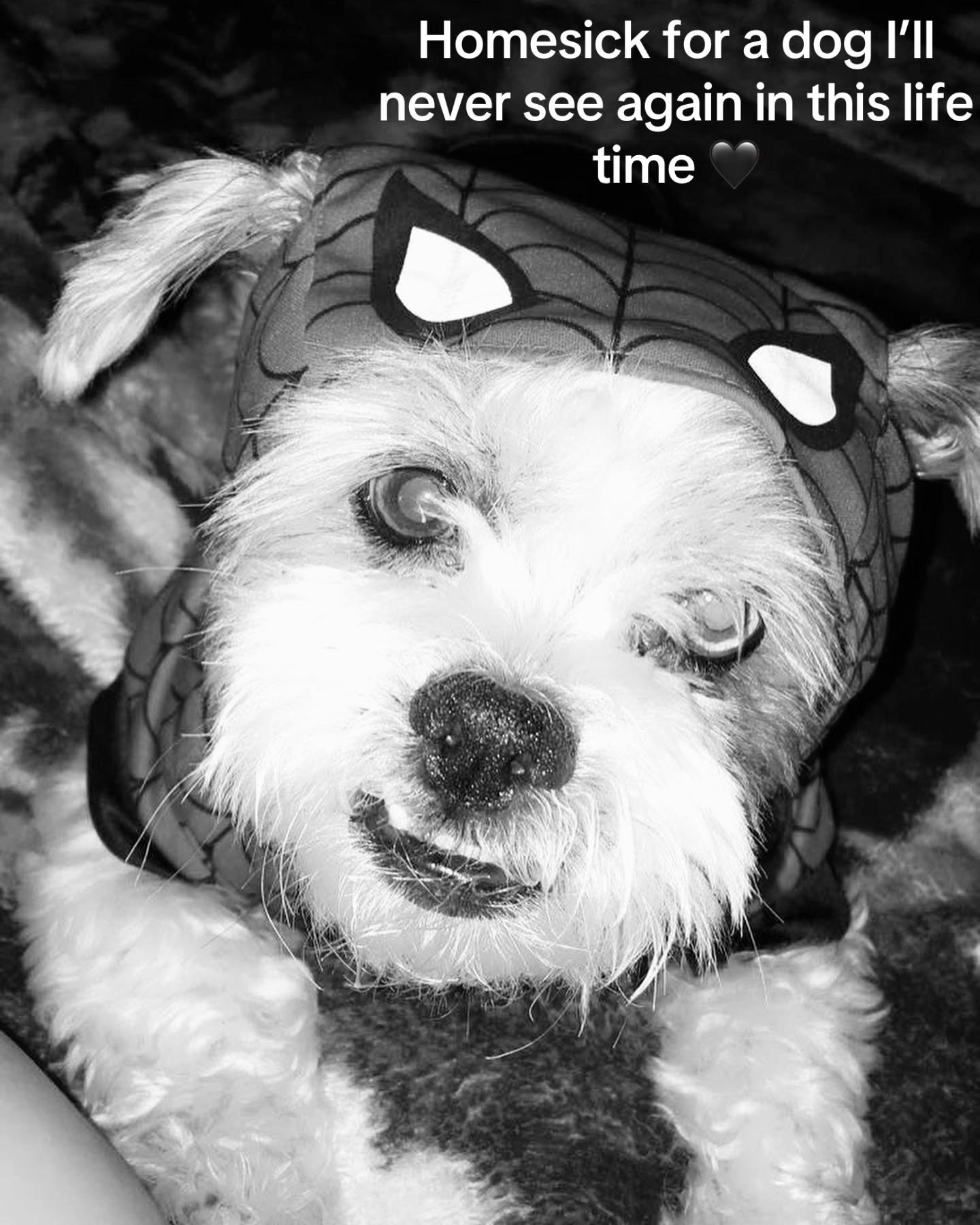 @Lemxn