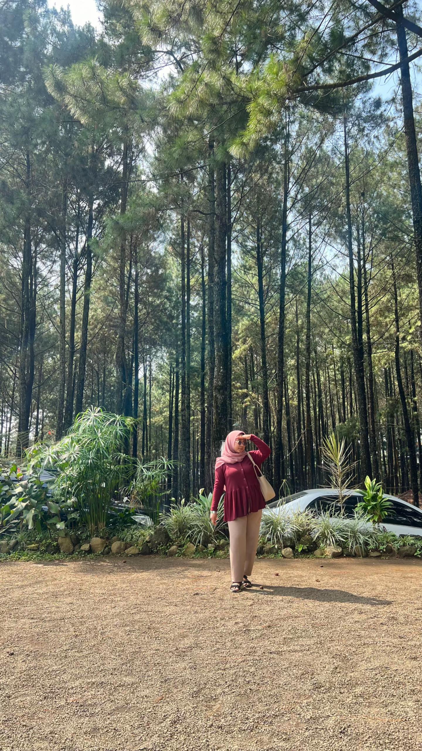 @Dewi Ambarwati 🌼