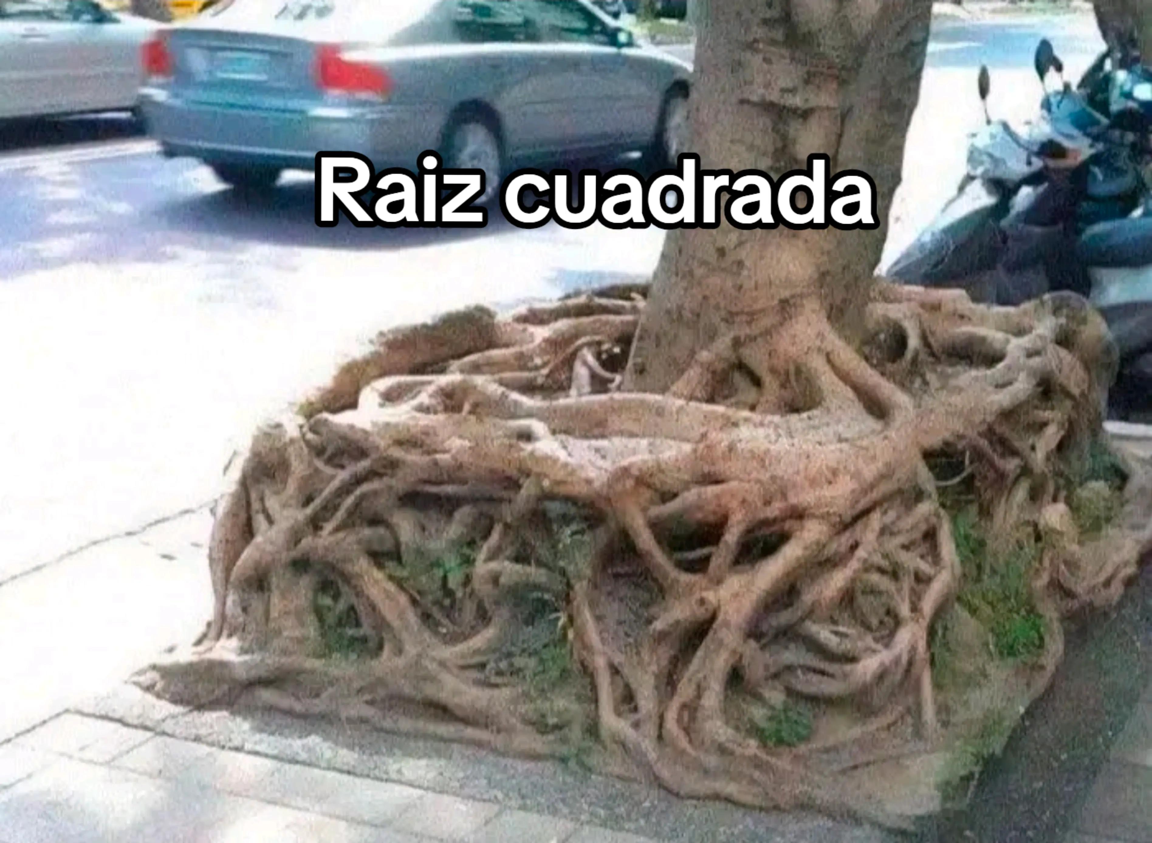 @BroJaYas