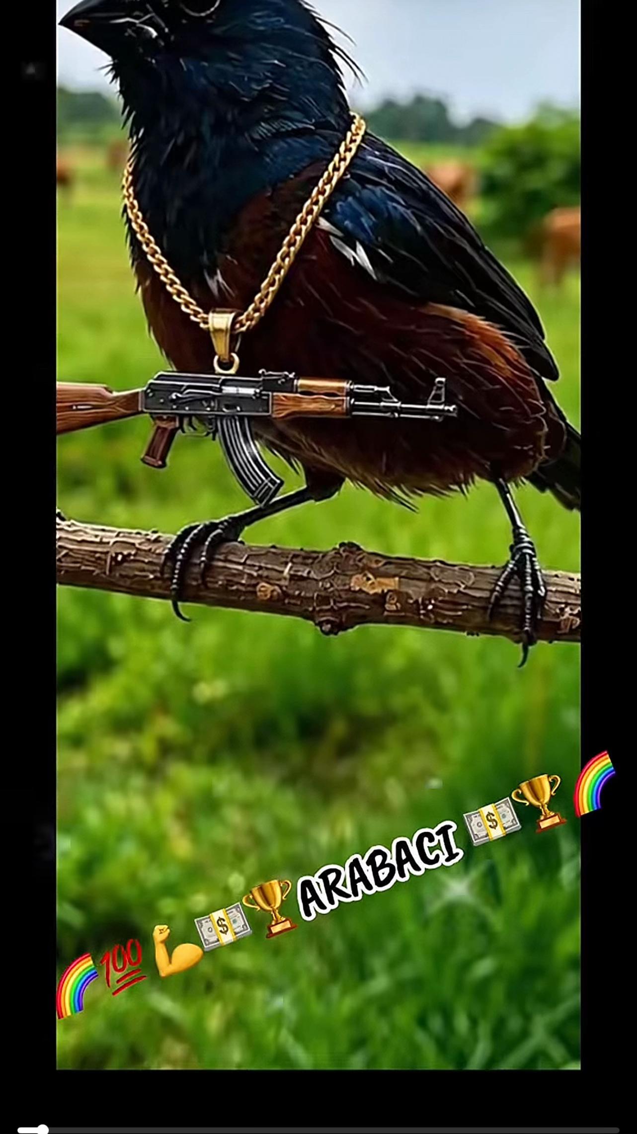@Joel Singh123