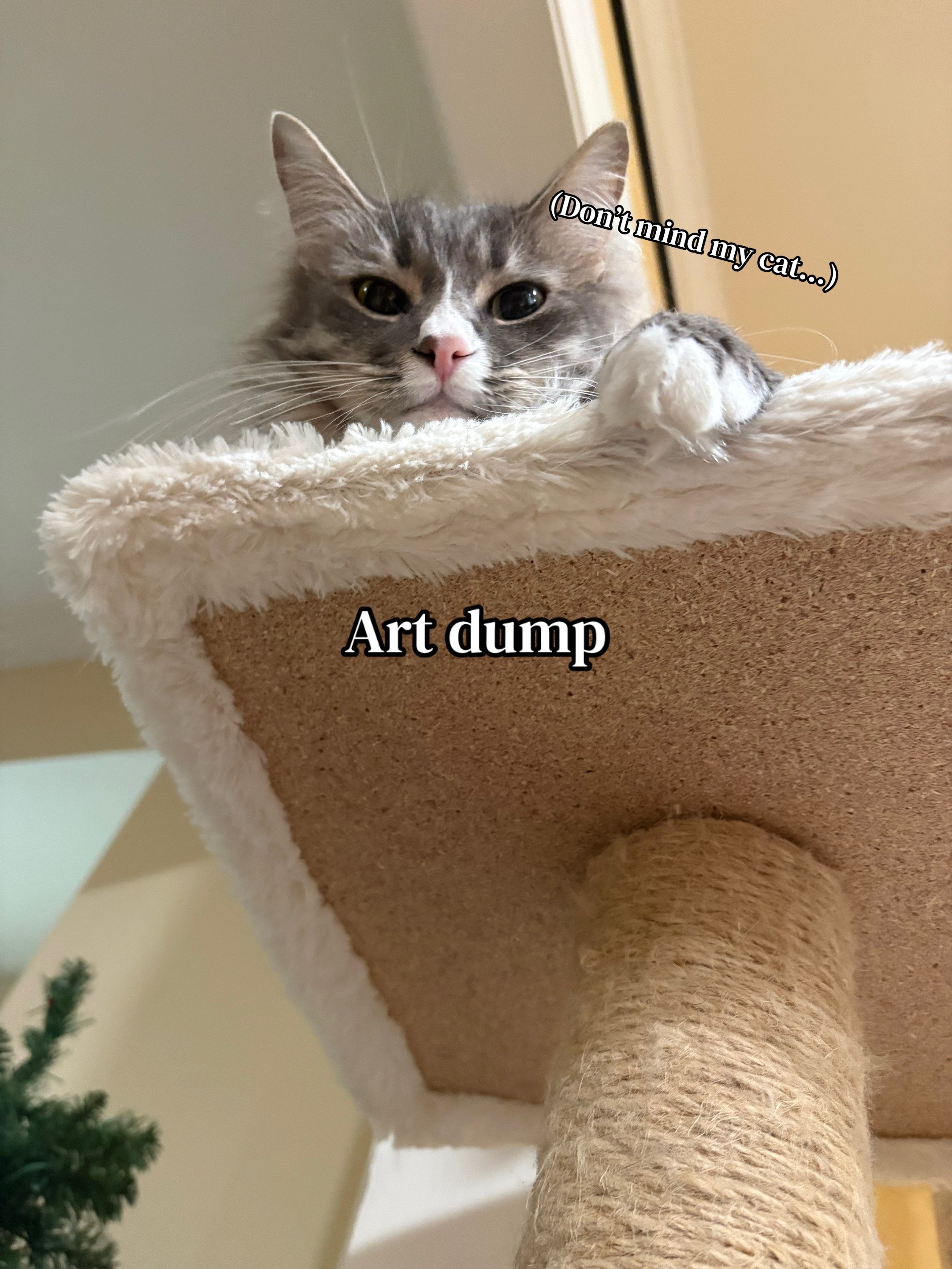 @DomthaArtist