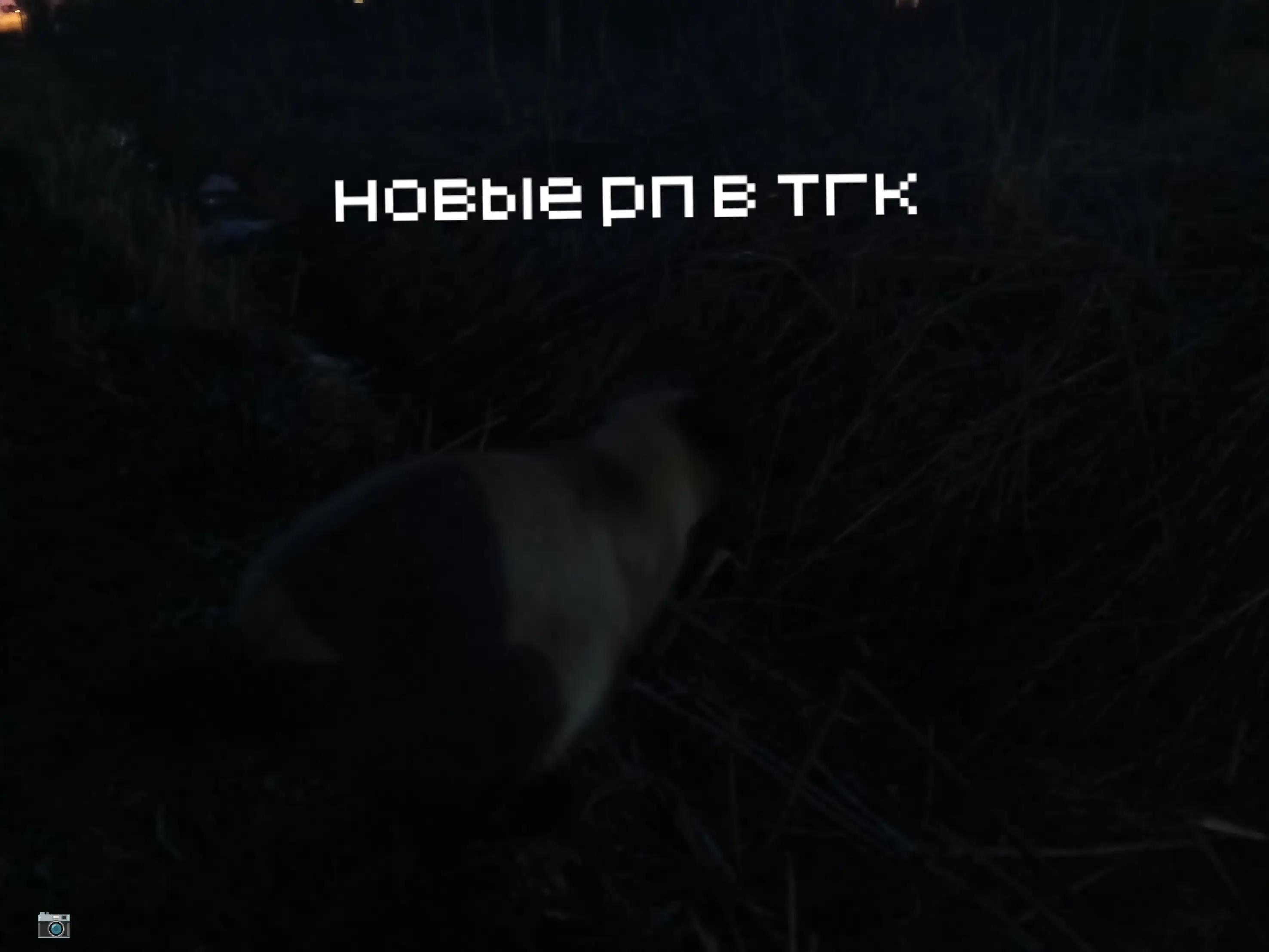 @ДОБРЫНЯ