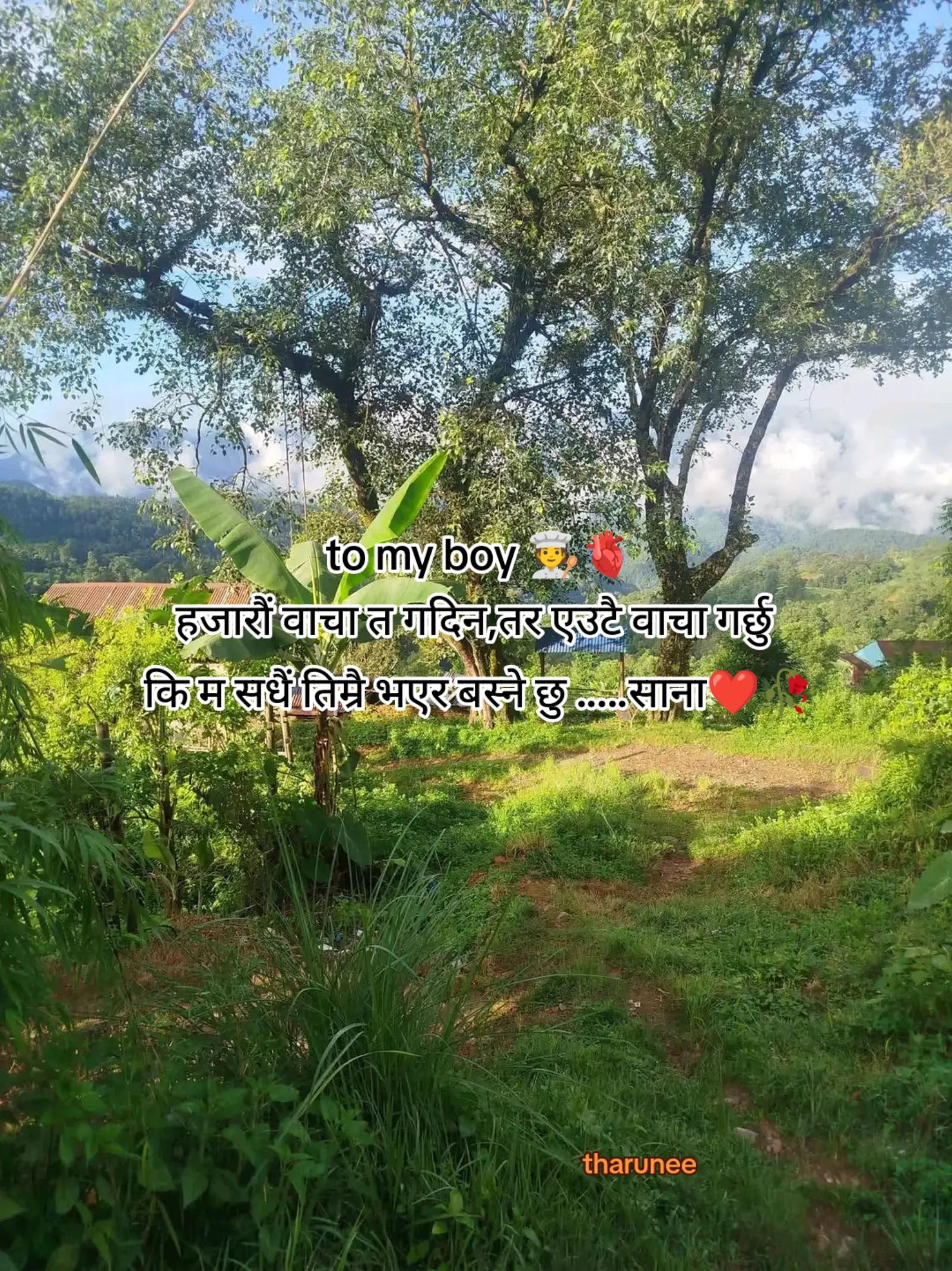 @❤️🩹❶❶:❶❶❤️🩹(थरुनी)