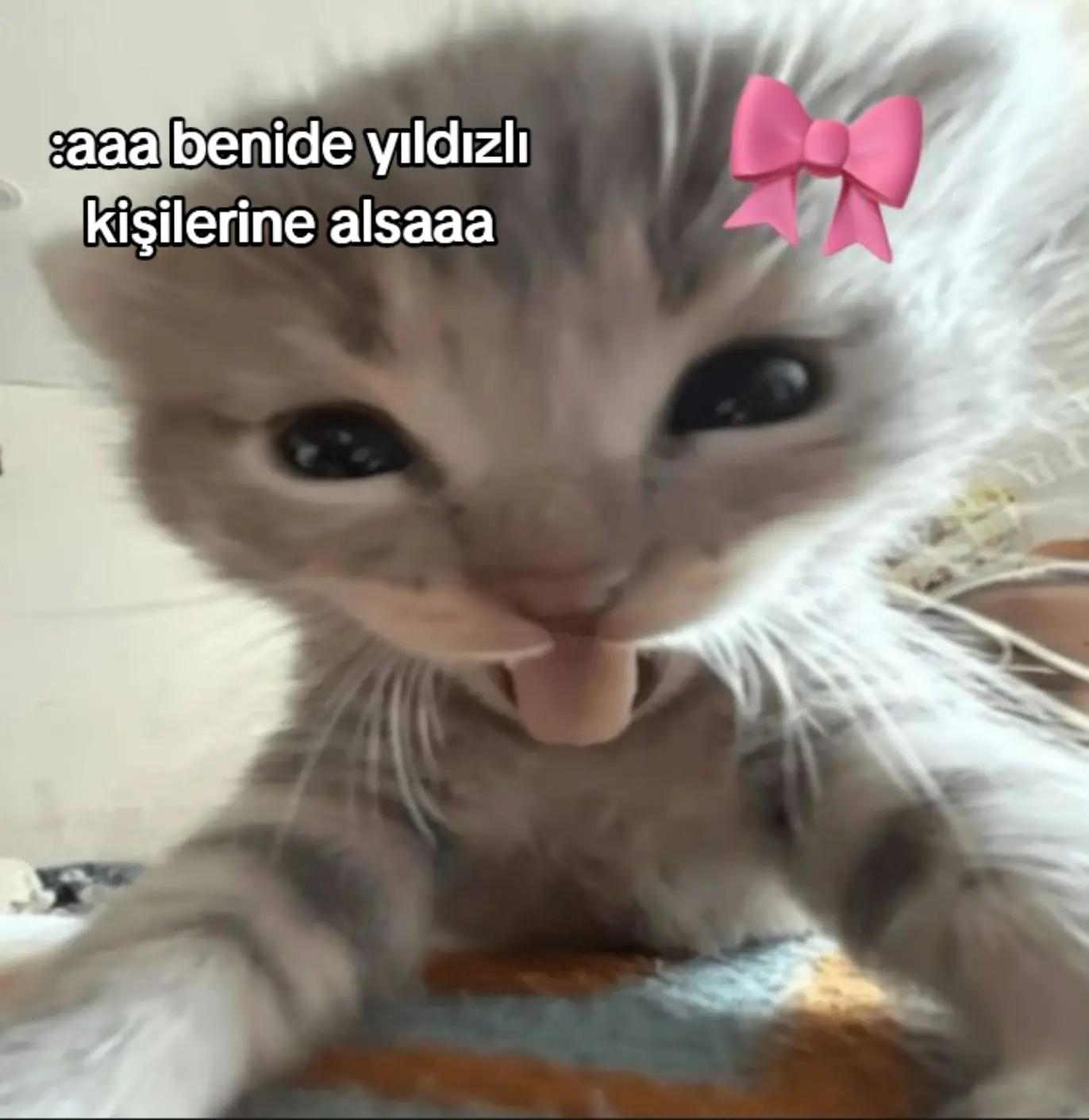 @☆ᴠᴀɴɪʟʏᴀ٭★