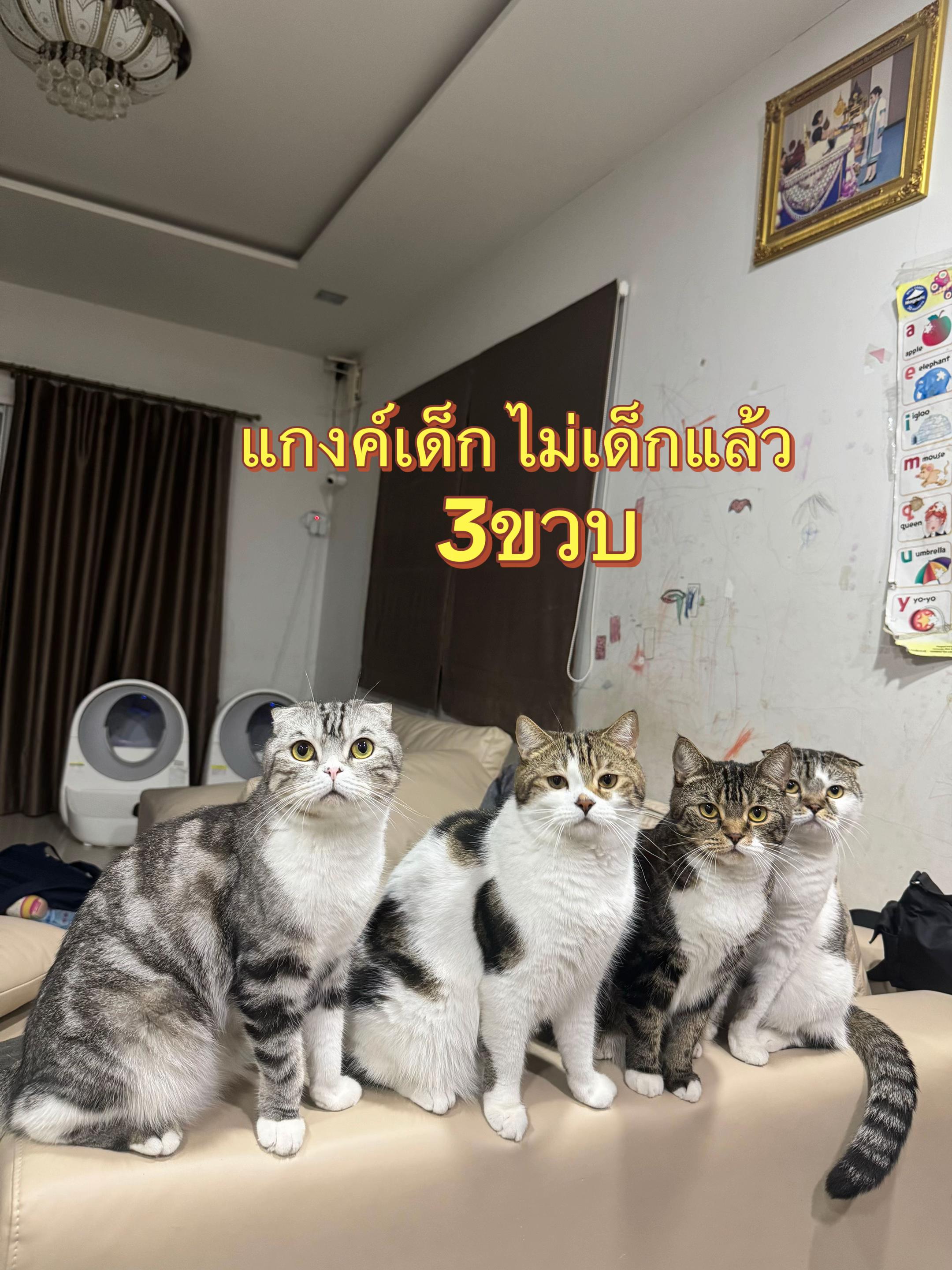 @แม่จูน