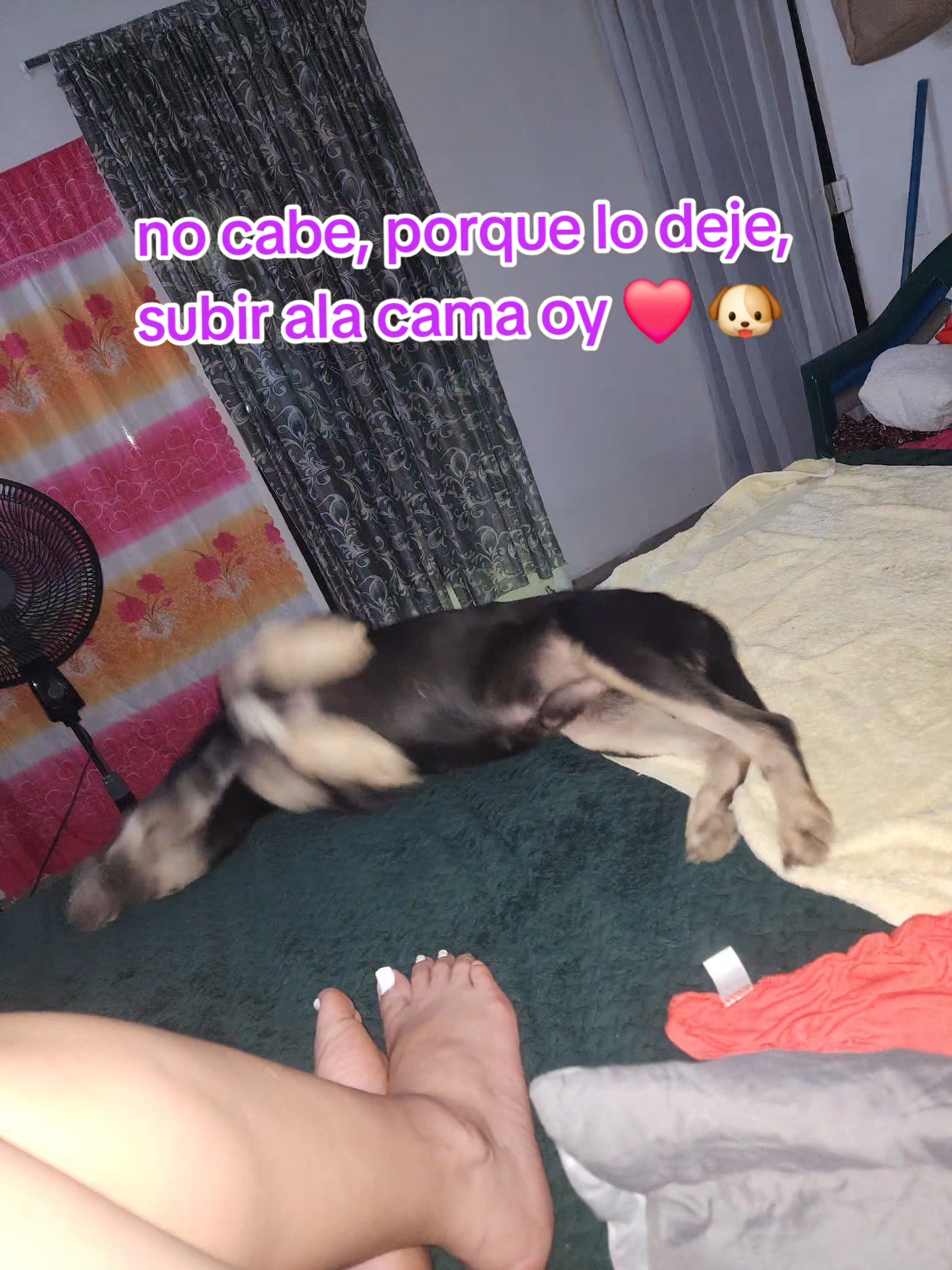 @Gaby axsume2