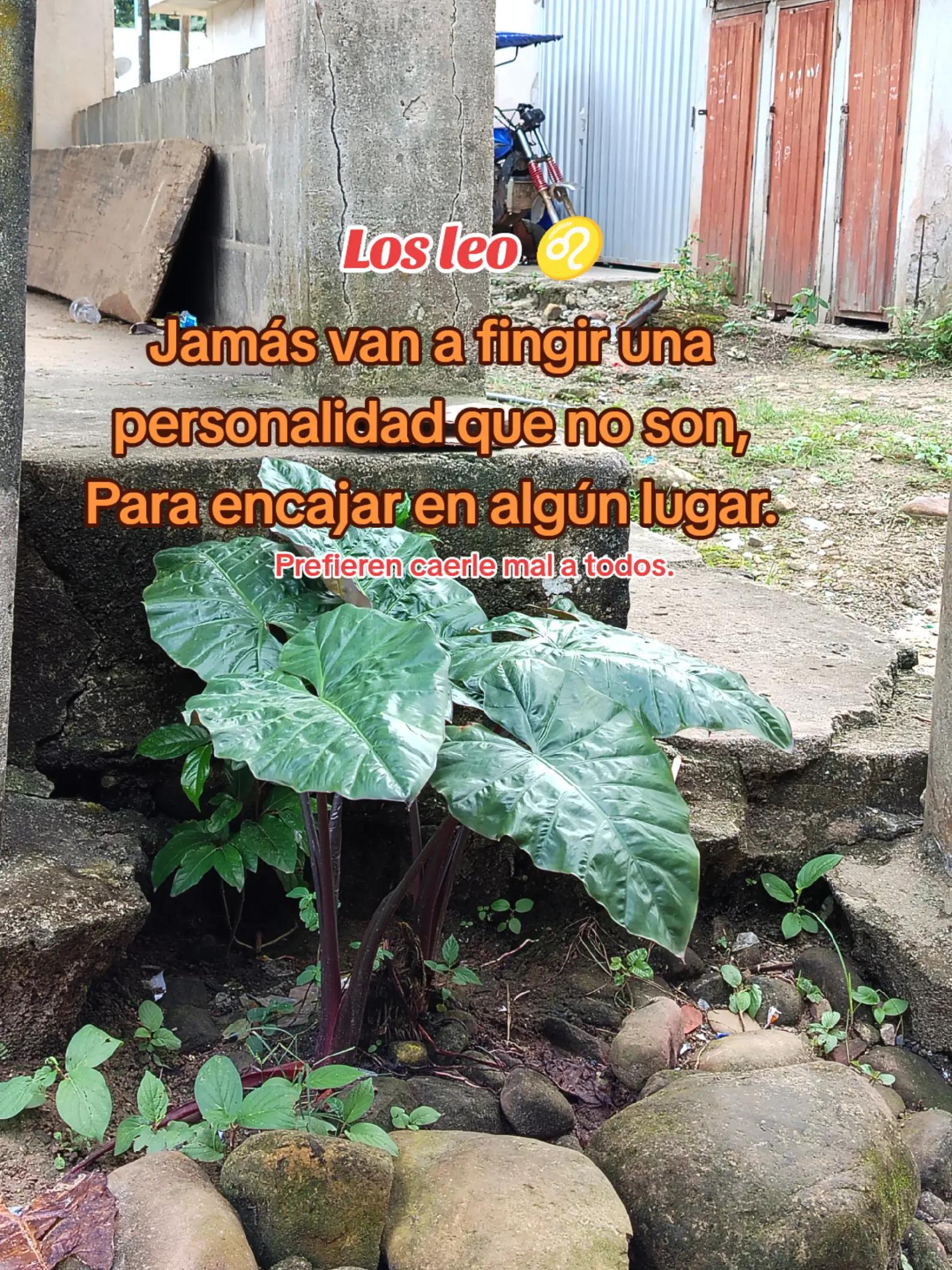 @zulueta