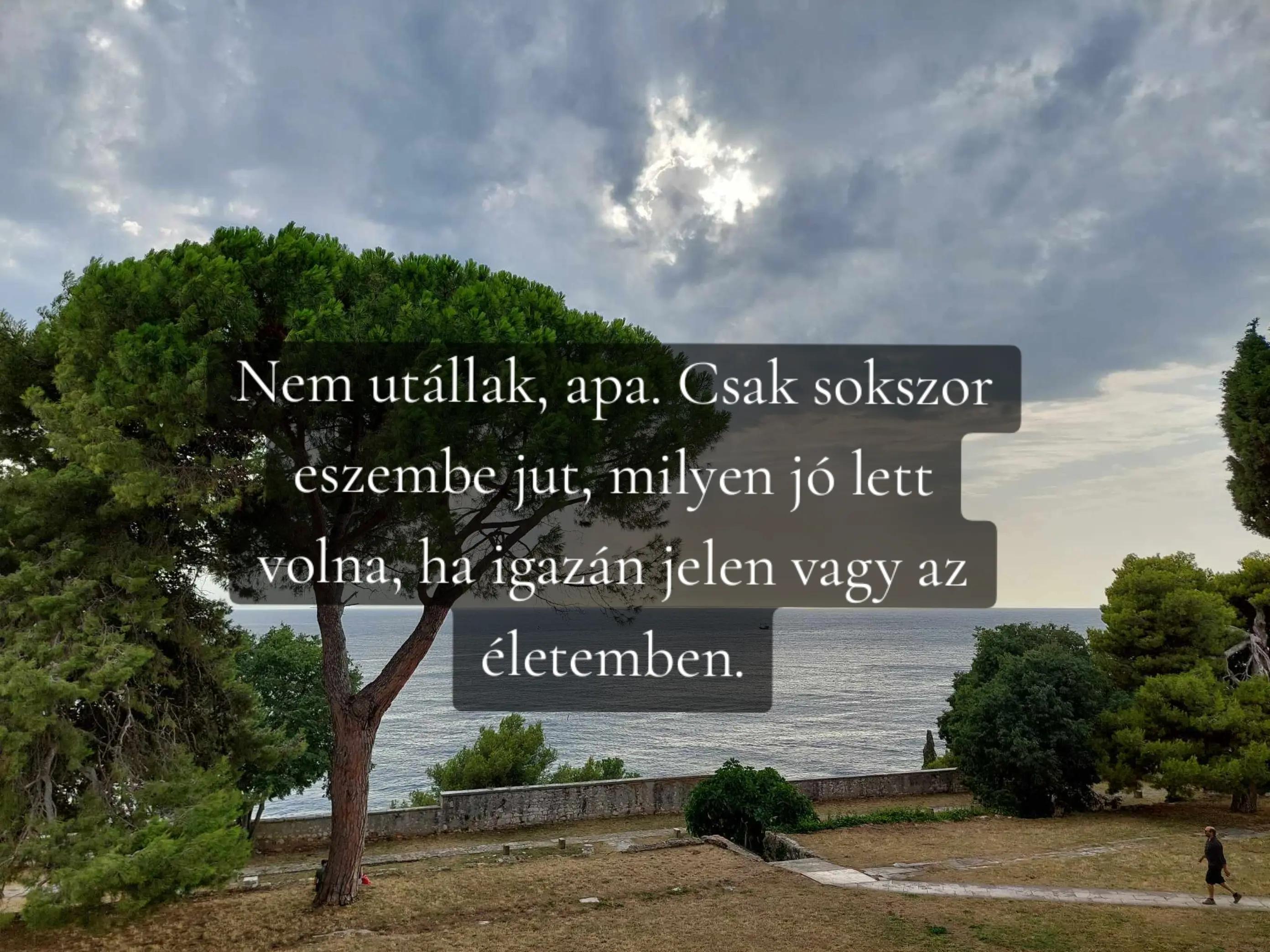 @Juh&aacute;sz-Rudnai K&iacute;ra