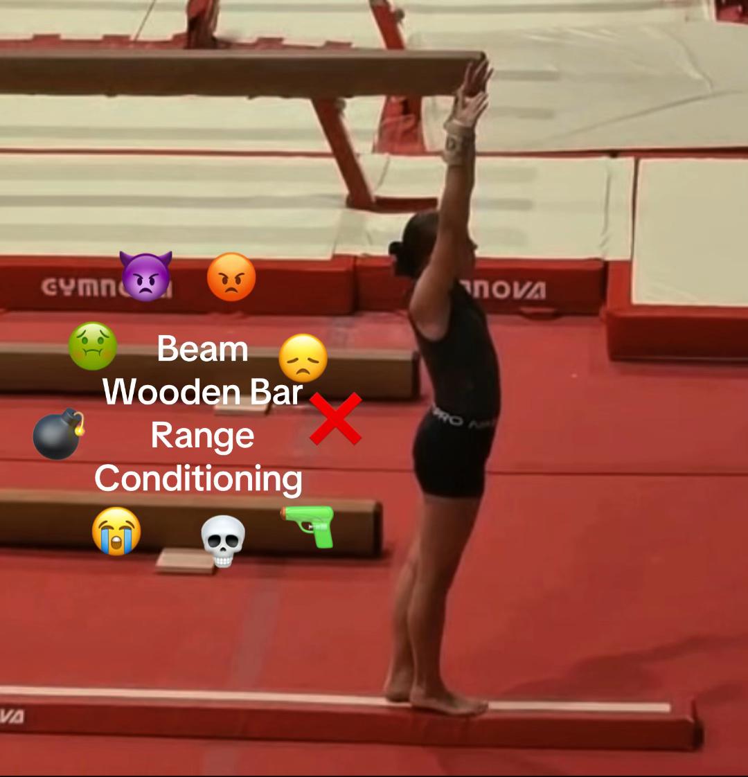 @Willow gymnast ๐คธ๐ผโ๏ธ๐