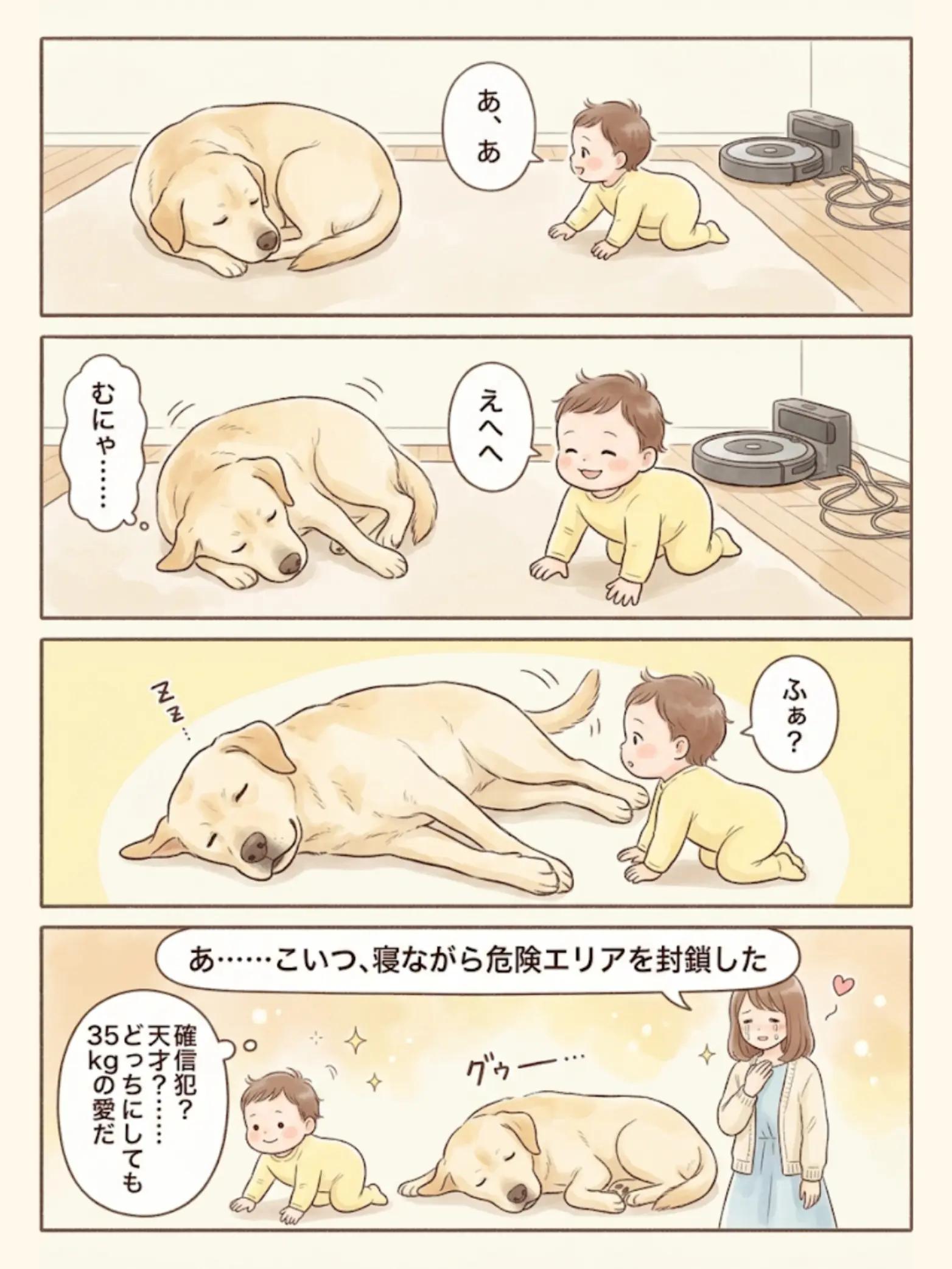 @都内のチワワ