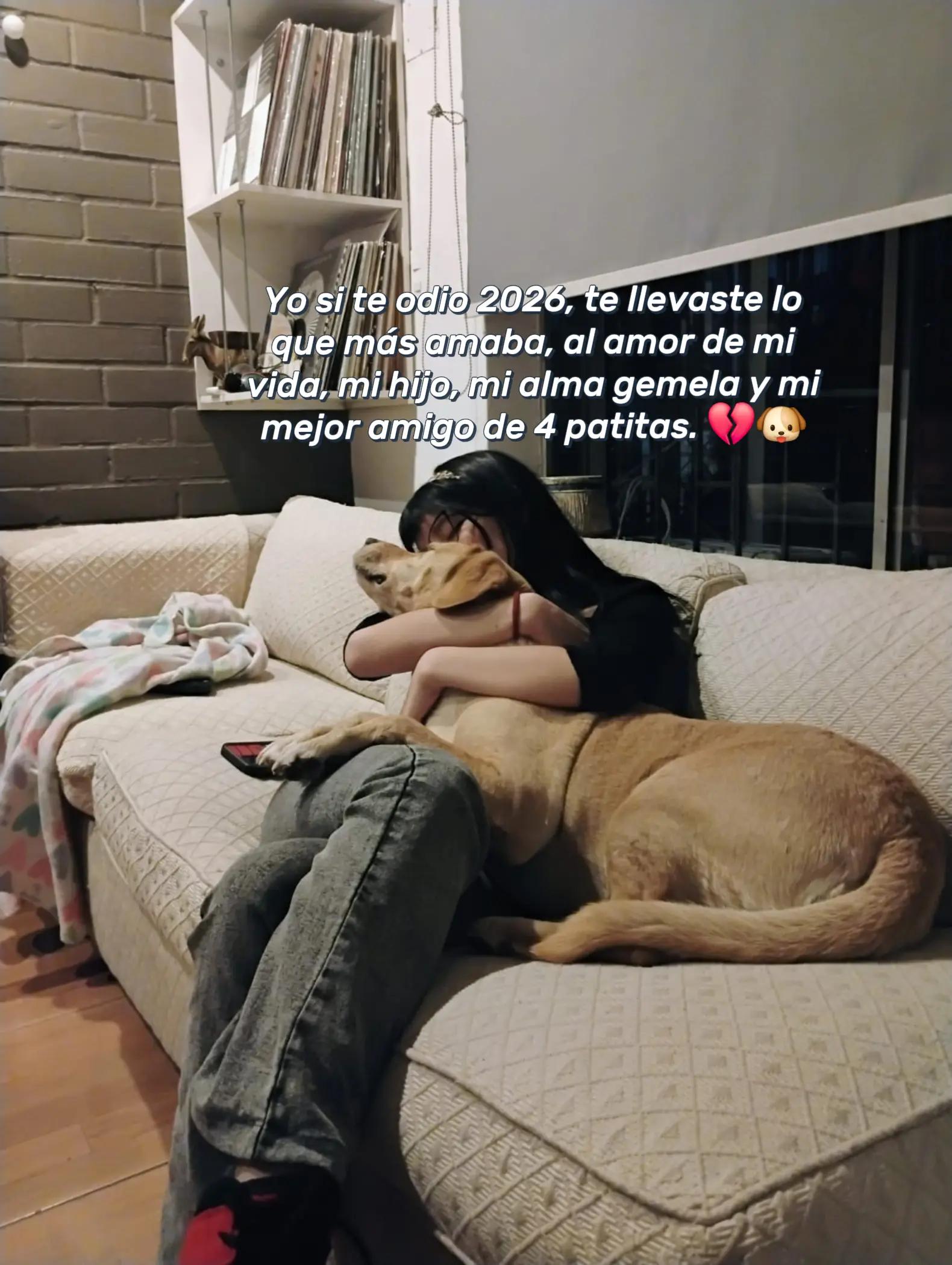 @paz