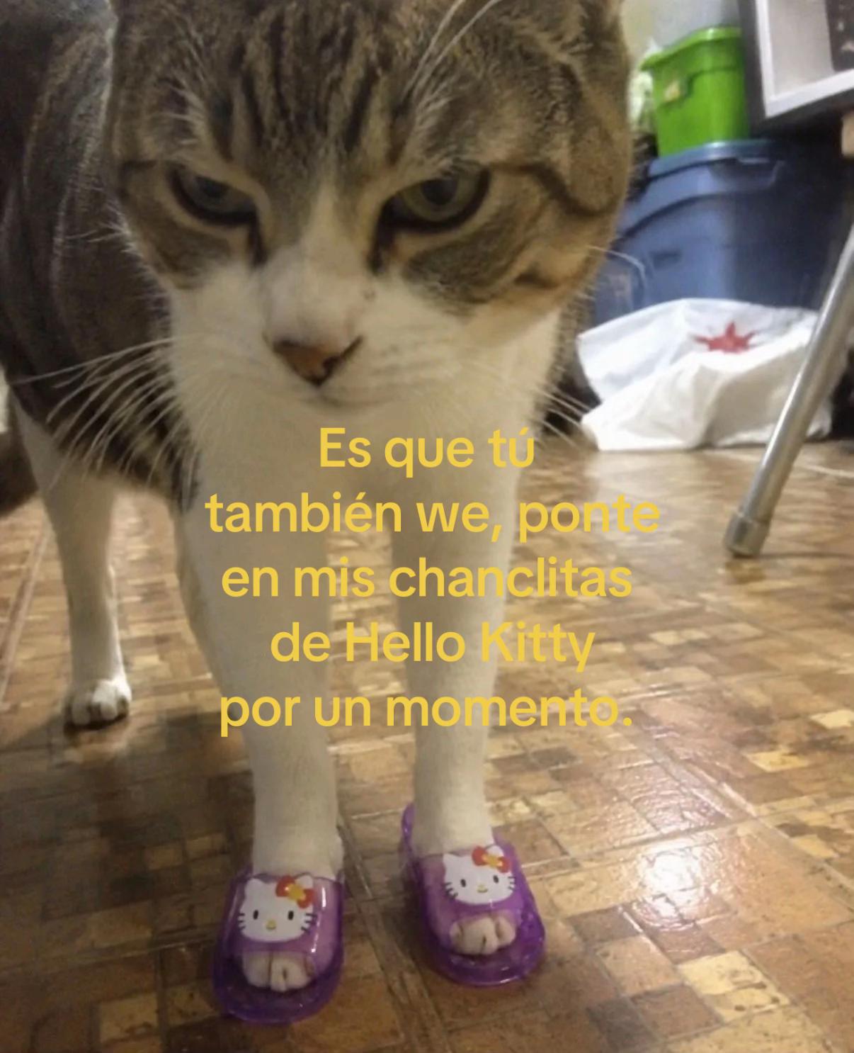 @𝓐𝓻𝓪𝓶𝔂 𝓡𝓿