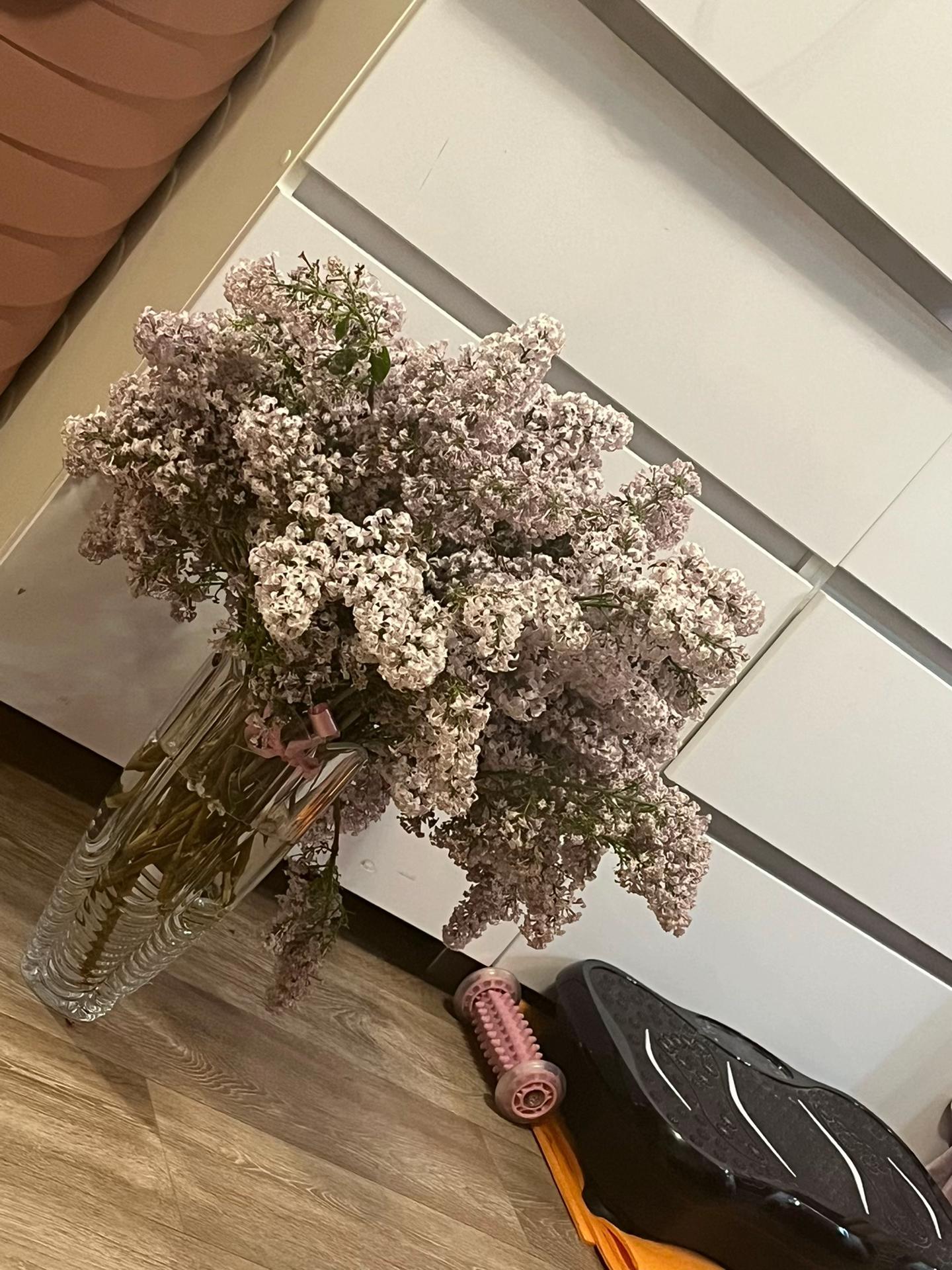 @kotsdlv