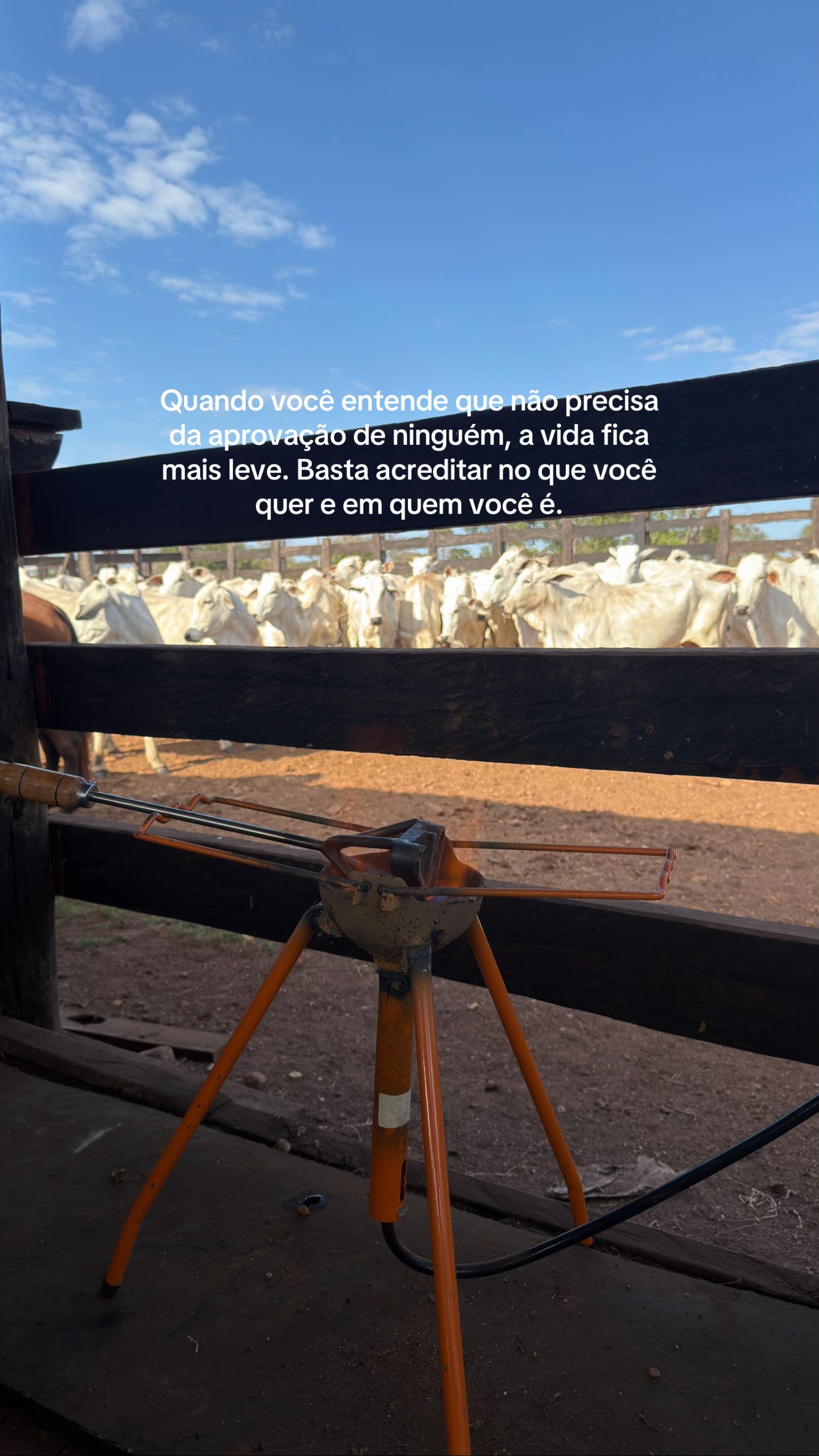@Bia Rodrigues