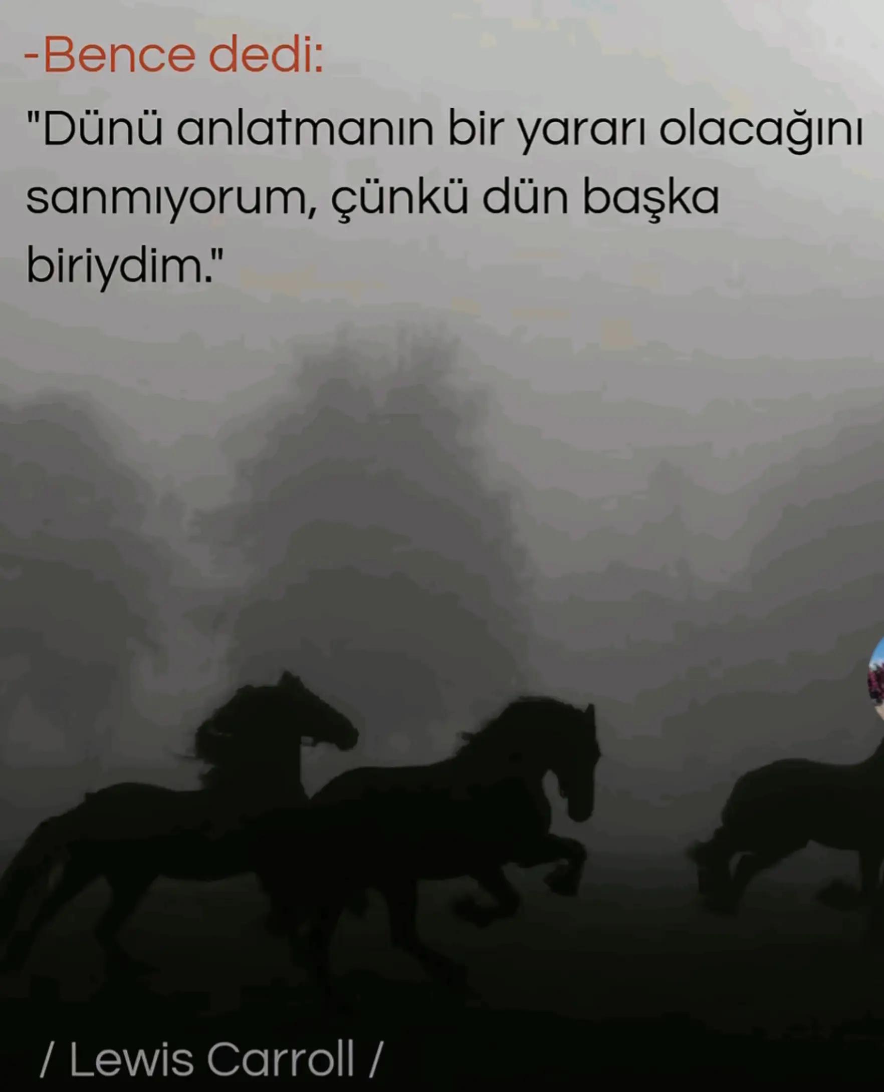@Ferdi Uçar
