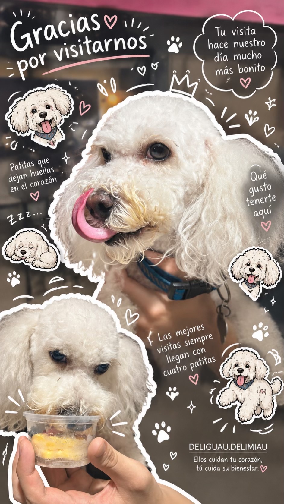 @Deliguau.Delimiau