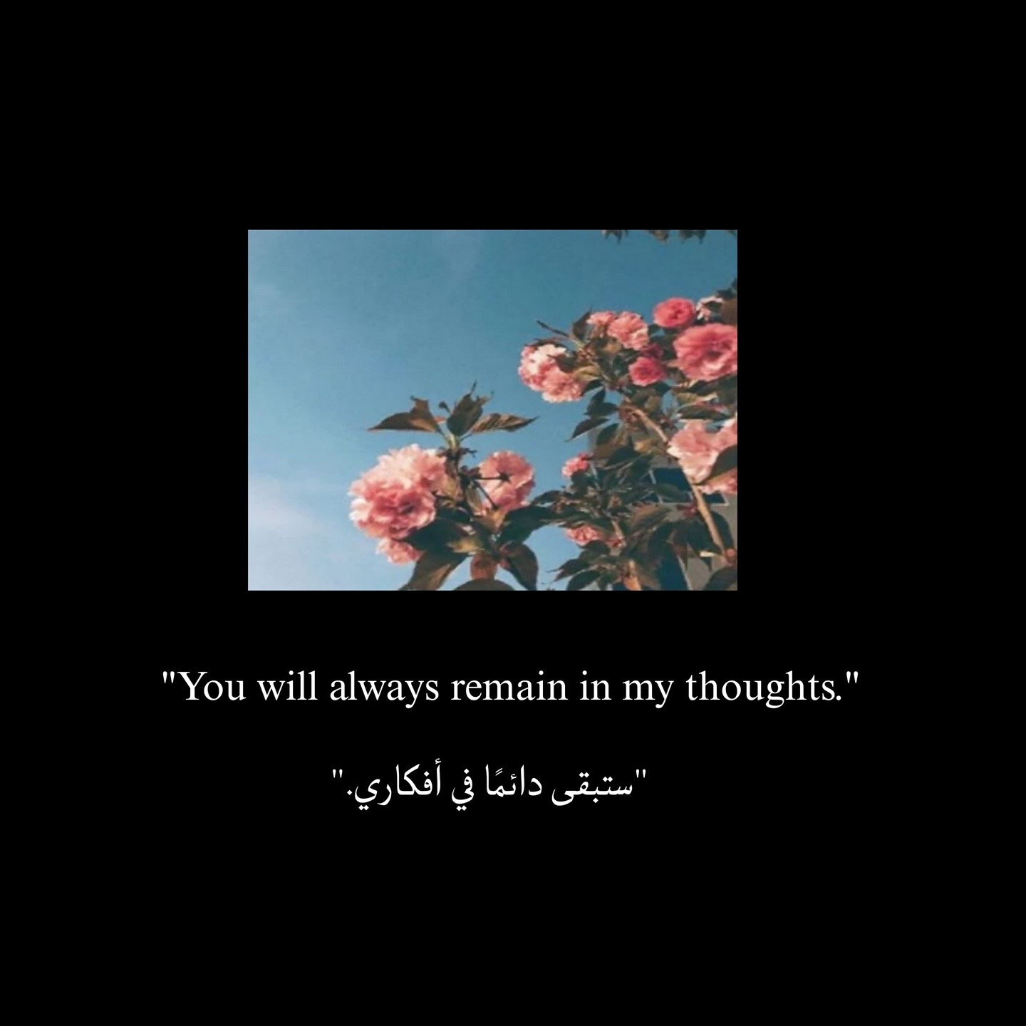 @شَ