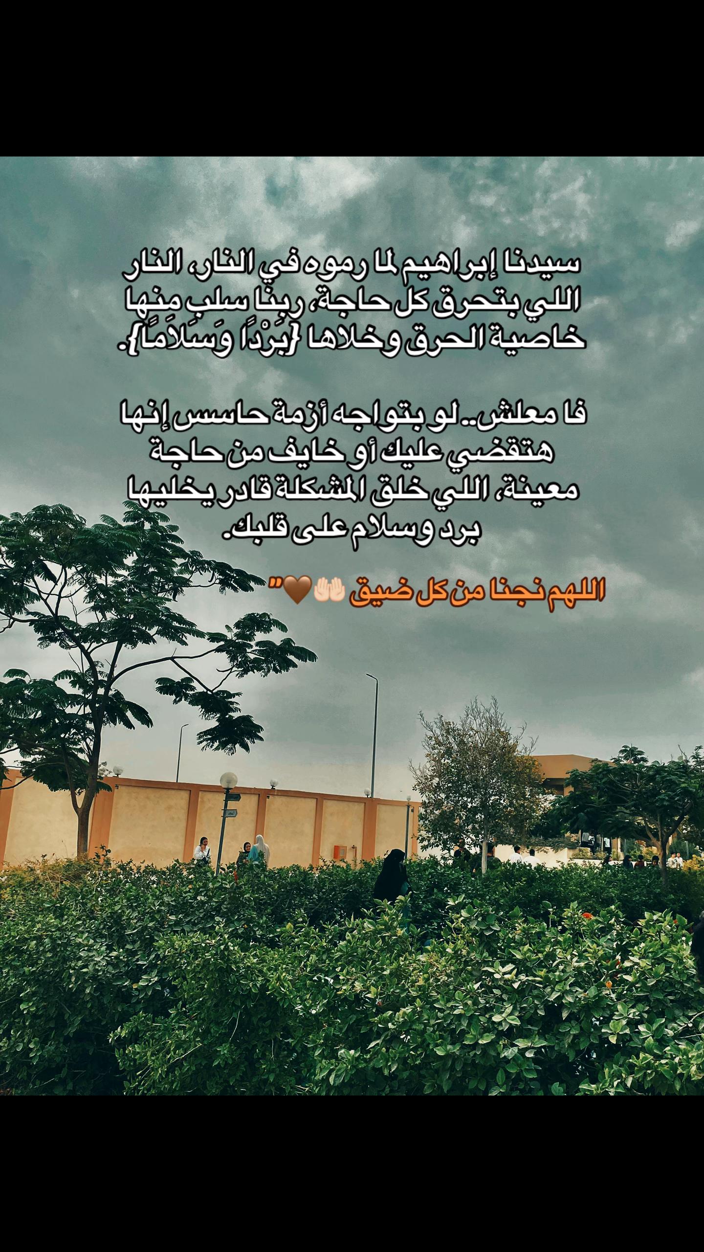 @Mostafa ุจูู Hassan๐ฅท๐ฉ๐ช
