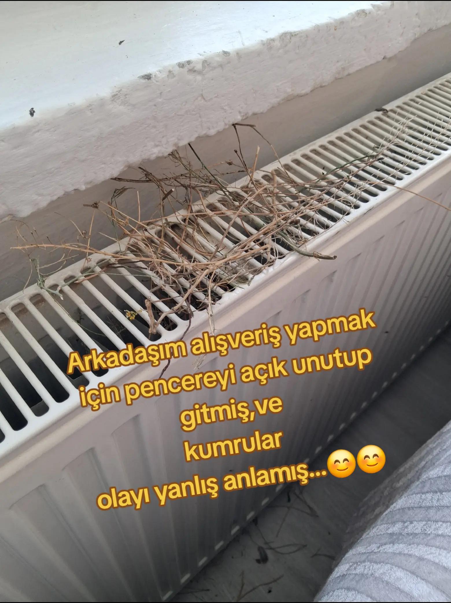 @Ayşe6606