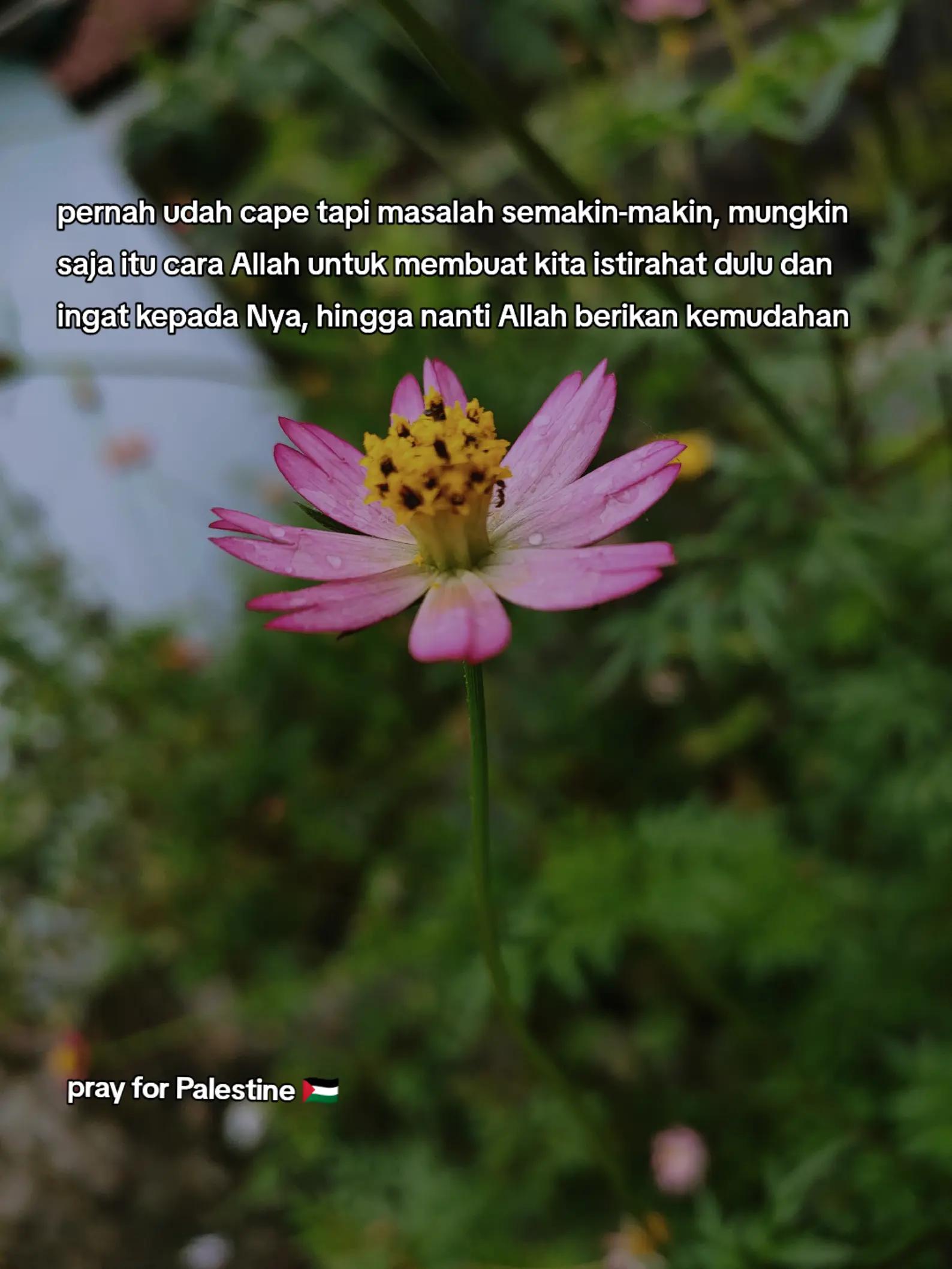 @No Lyrics 🎵